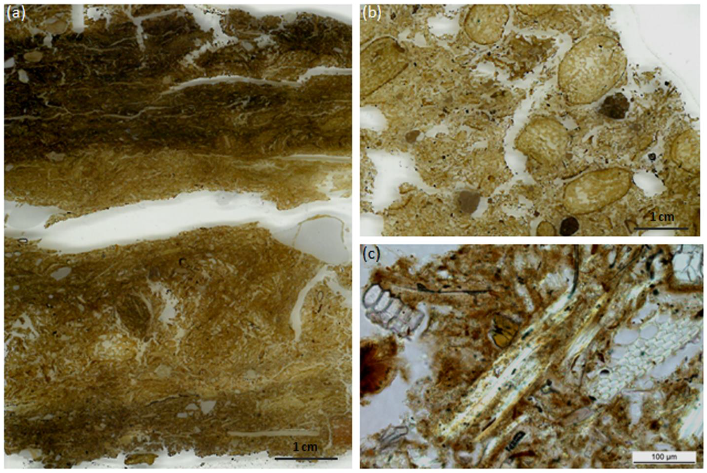 Applsci 11 08143 g002