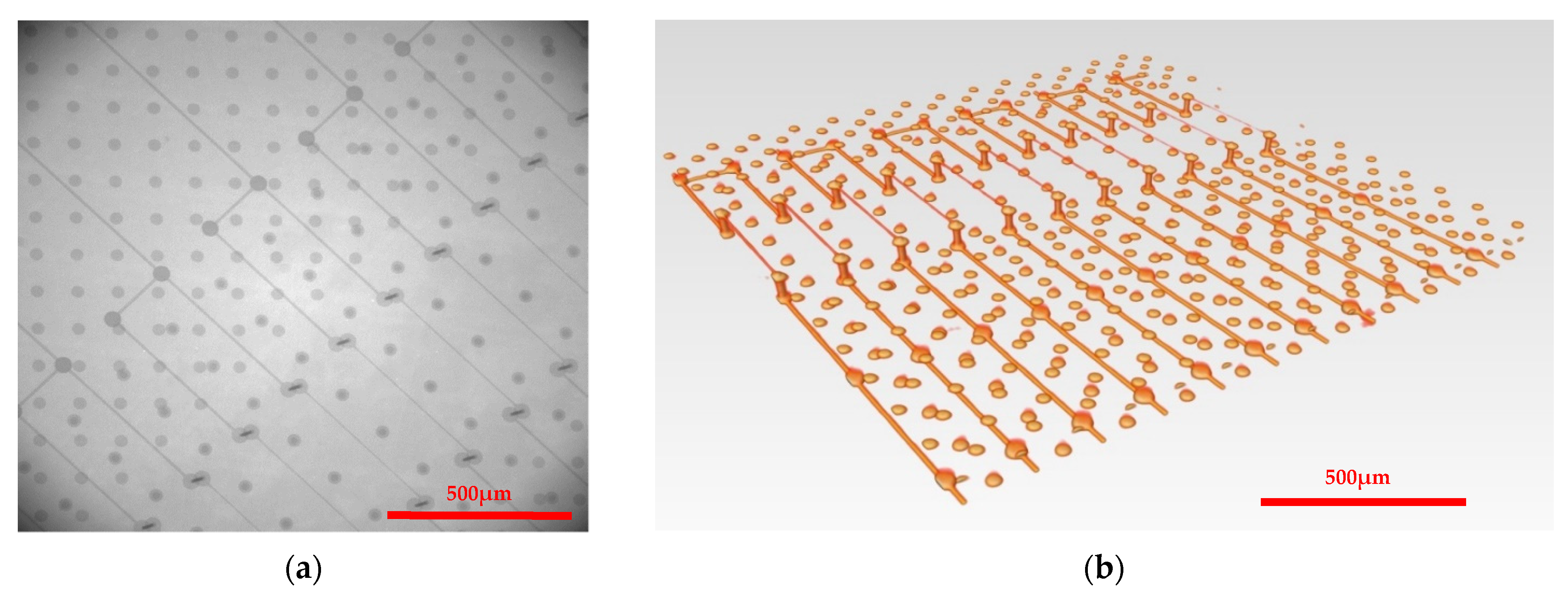 Applsci 11 08148 g011 550