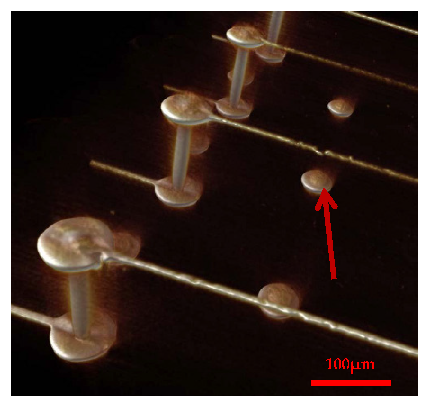 Applsci 11 08148 g014 550