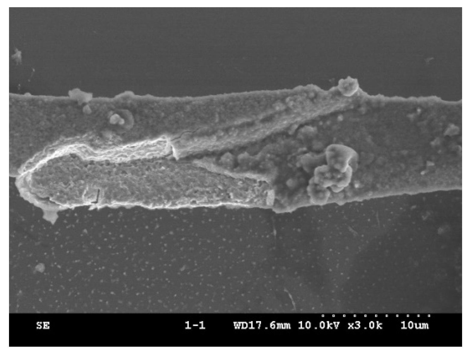 Applsci 11 08148 g017 550