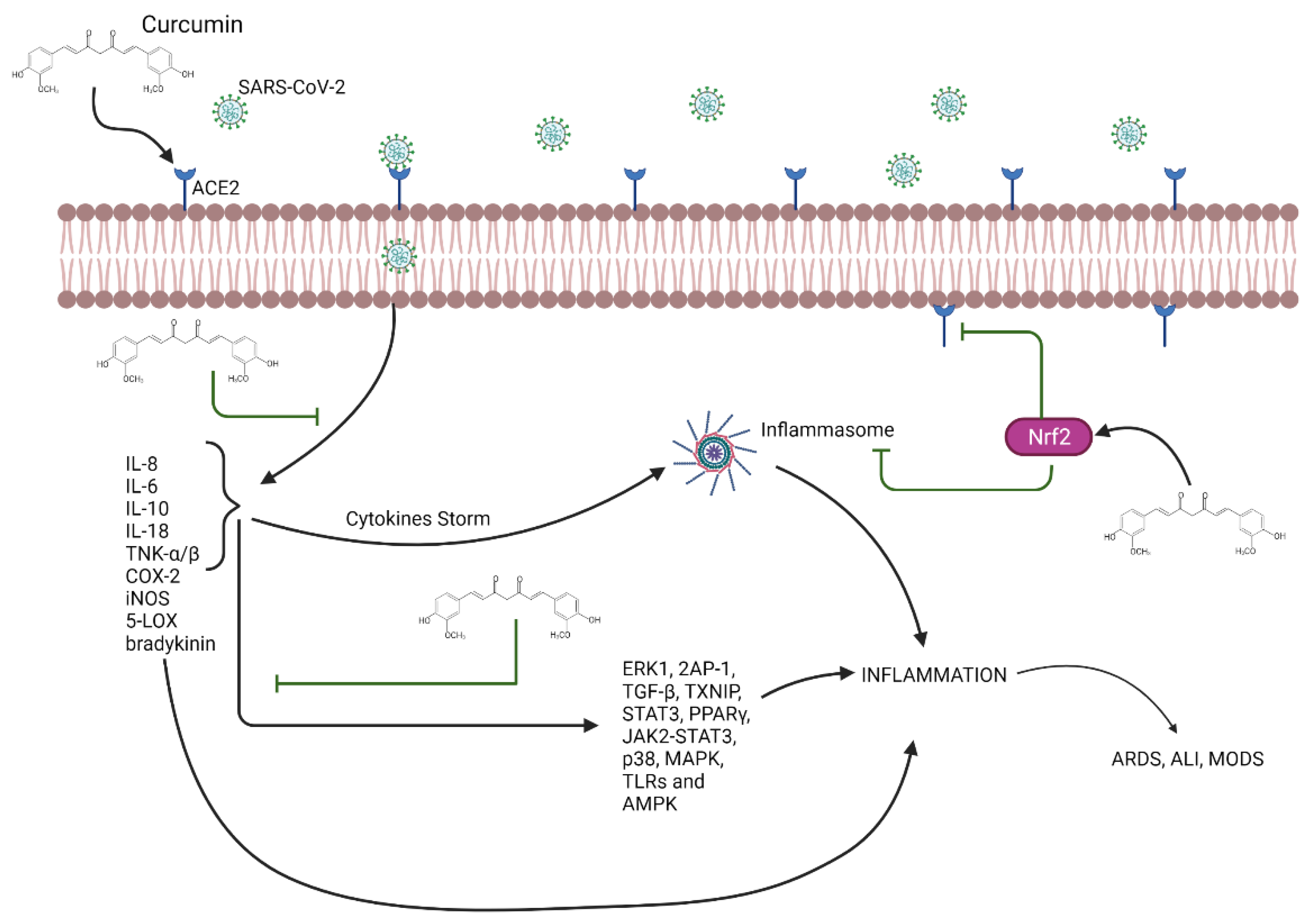 Applsci 11 08163 g002 550