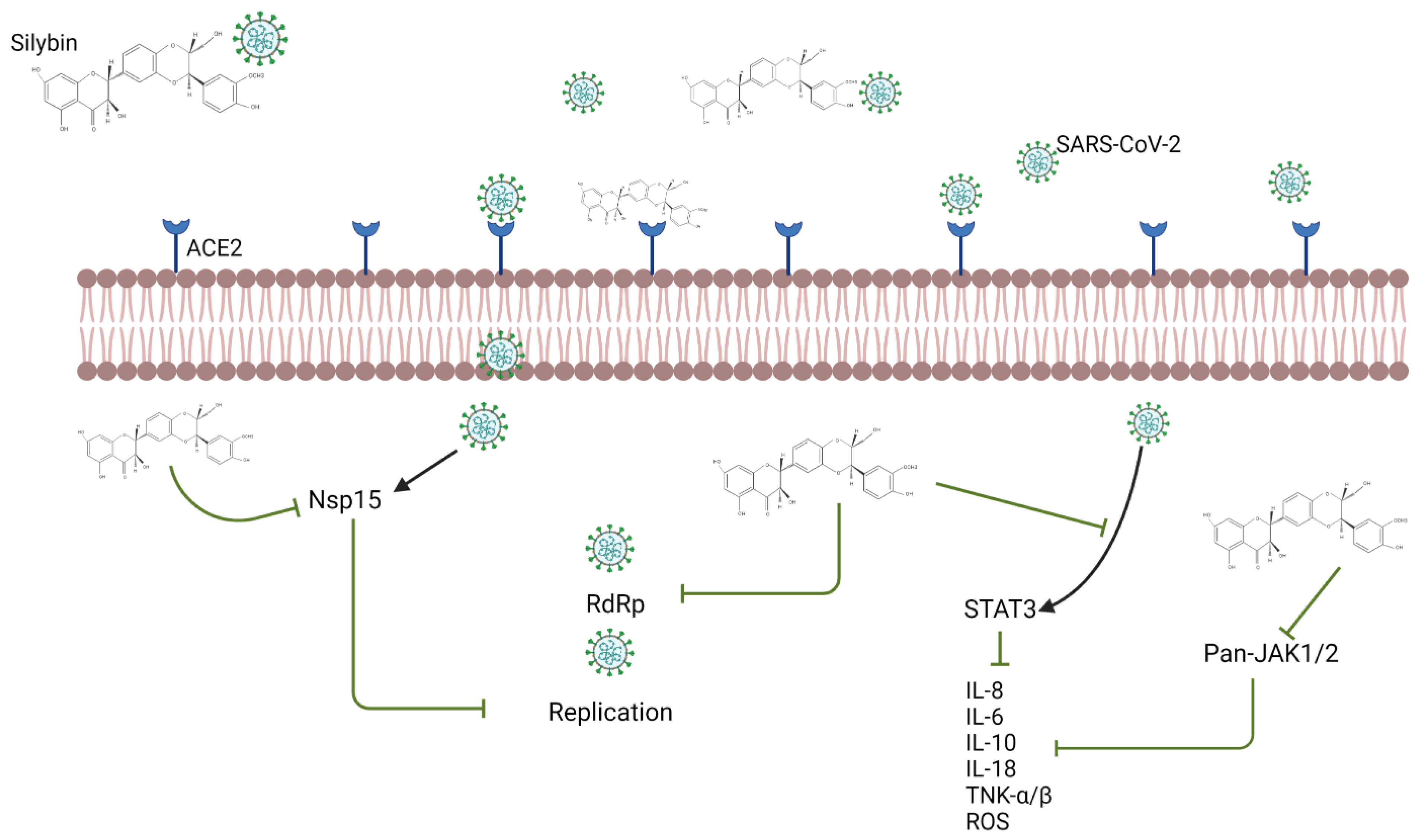 Applsci 11 08163 g003 550