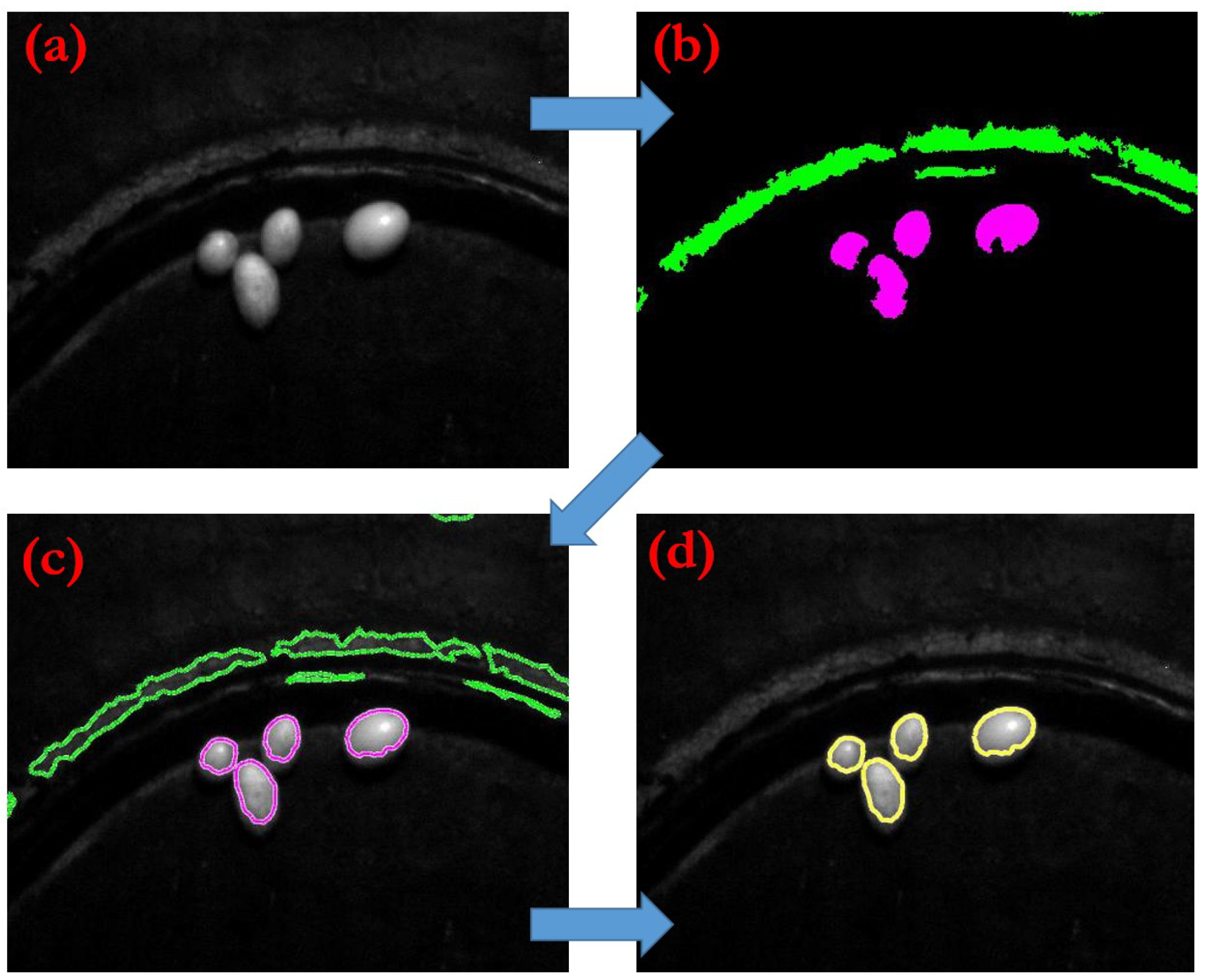 Applsci 11 08167 g004 550
