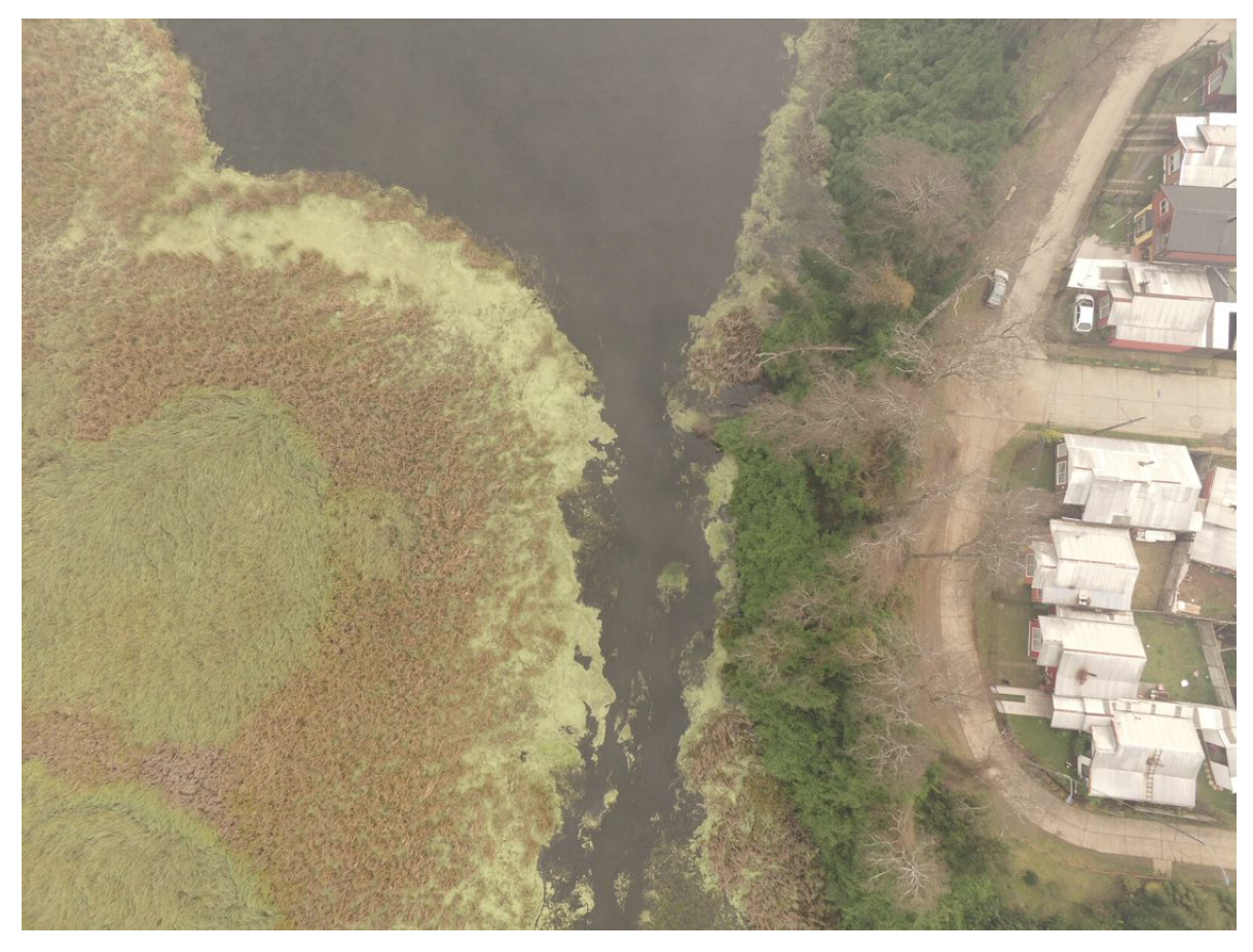 Applsci 11 08175 g001 550