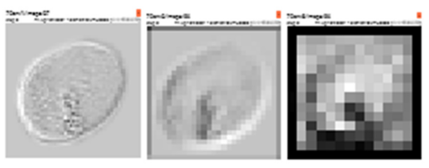 Applsci 11 08226 g011