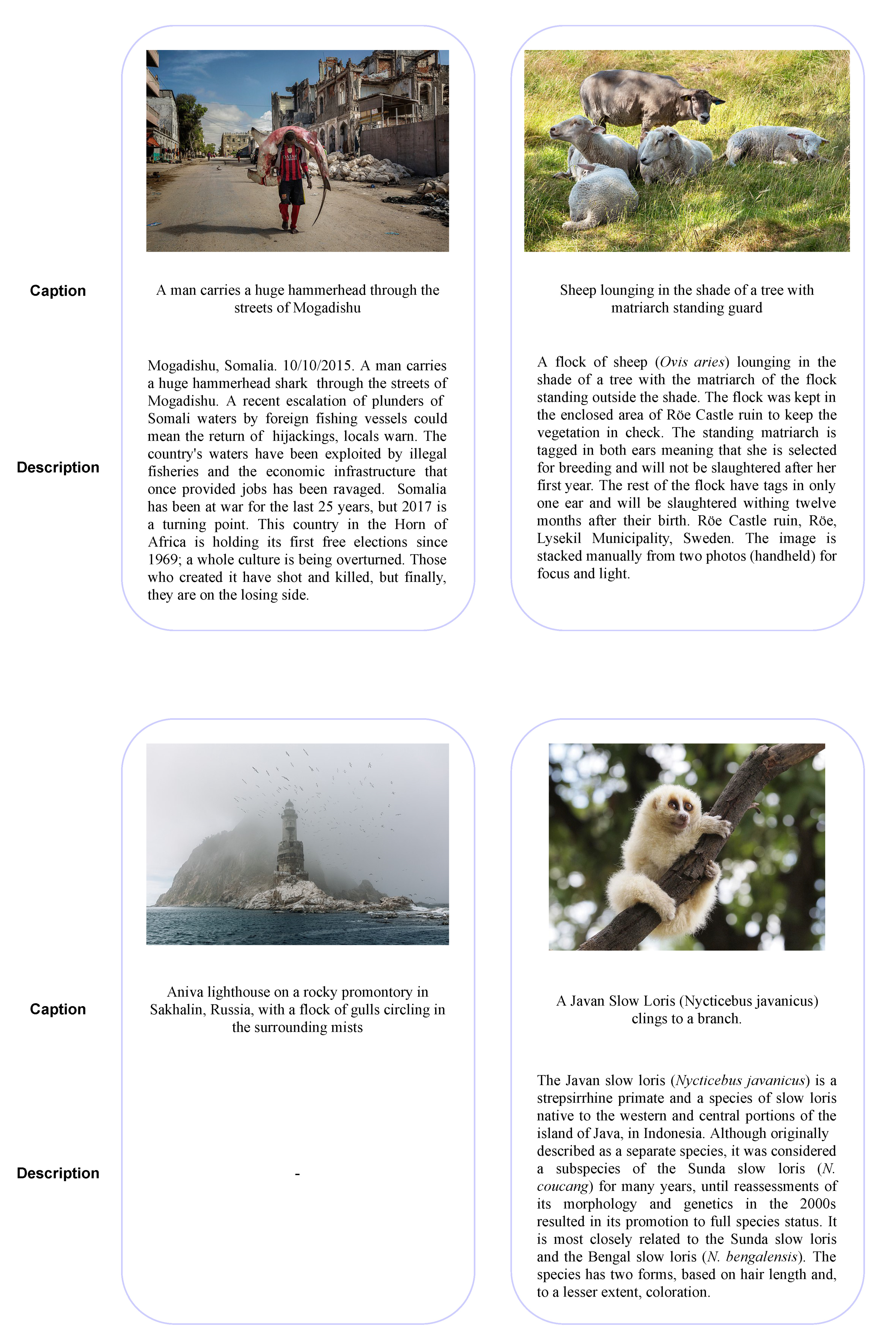 Applsci 11 08241 g002 550