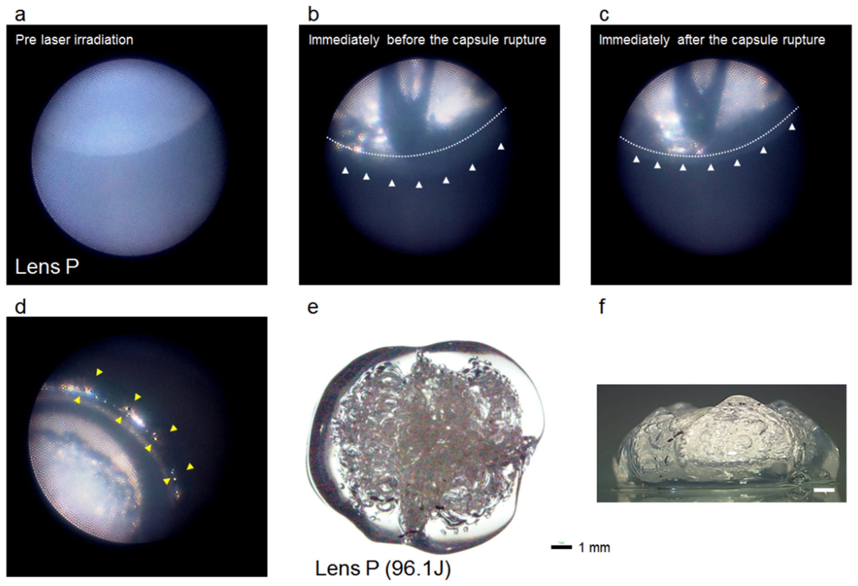 Applsci 11 08247 g004