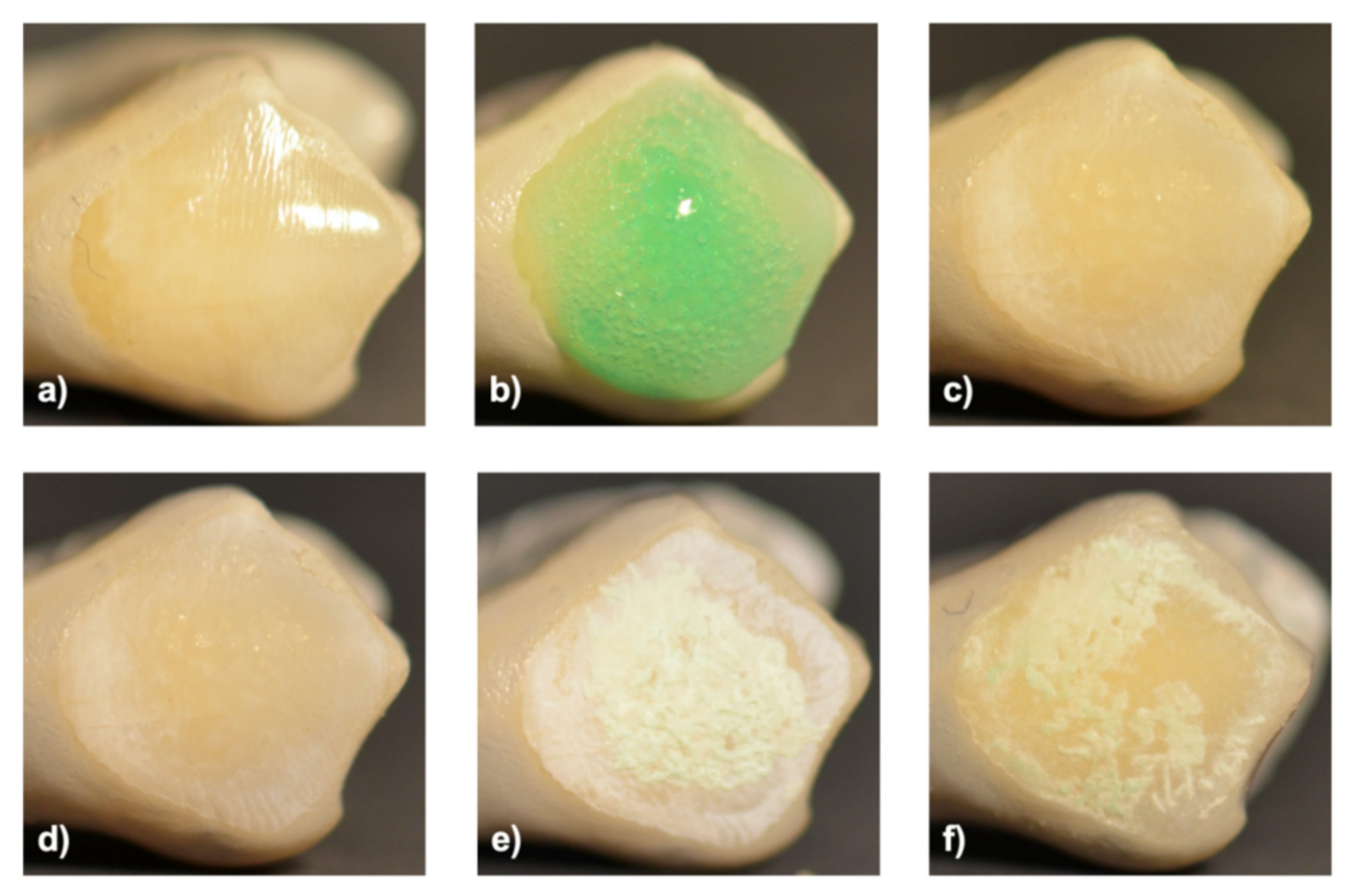 Applsci 11 08270 g001