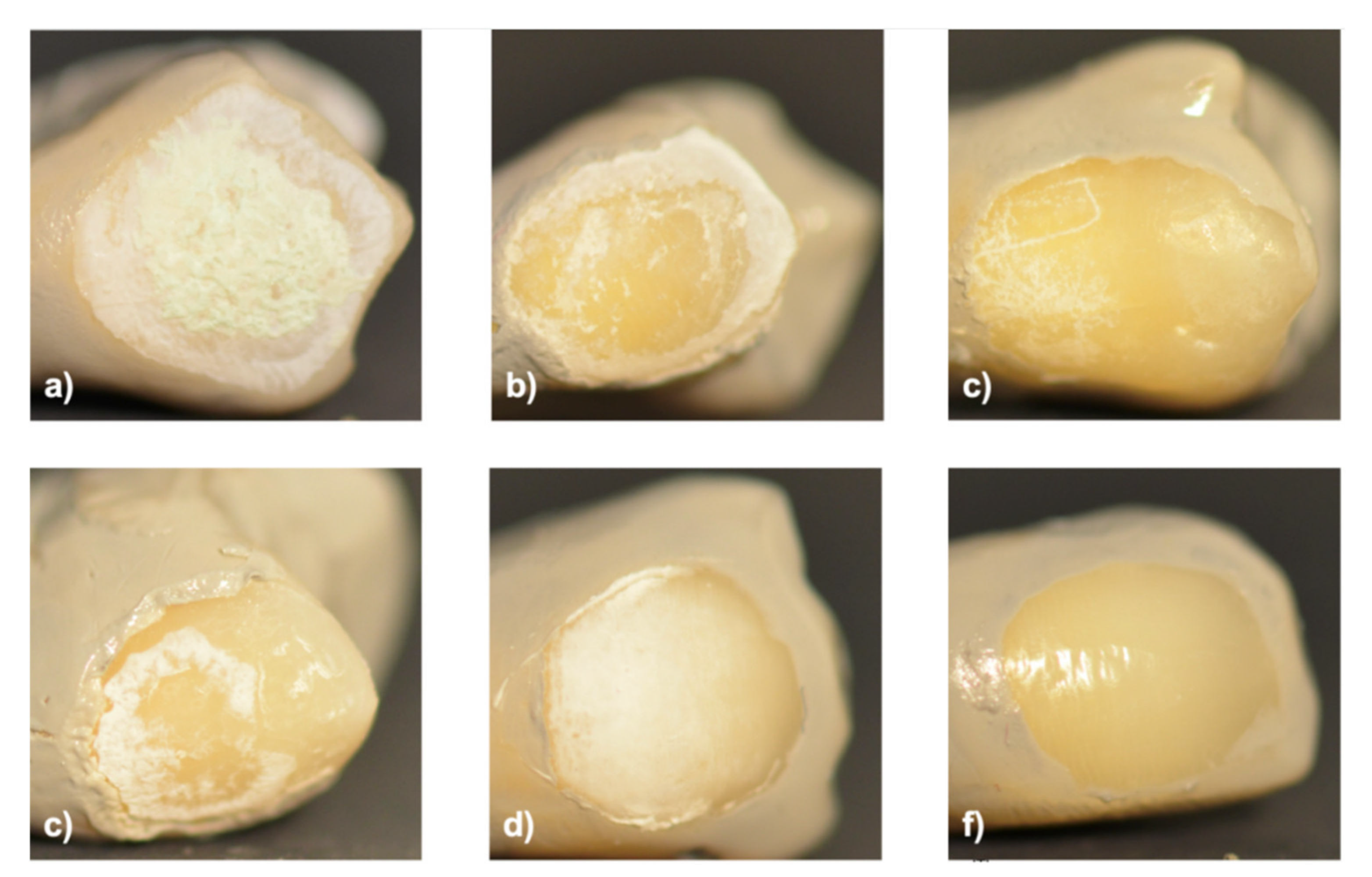 Applsci 11 08270 g004