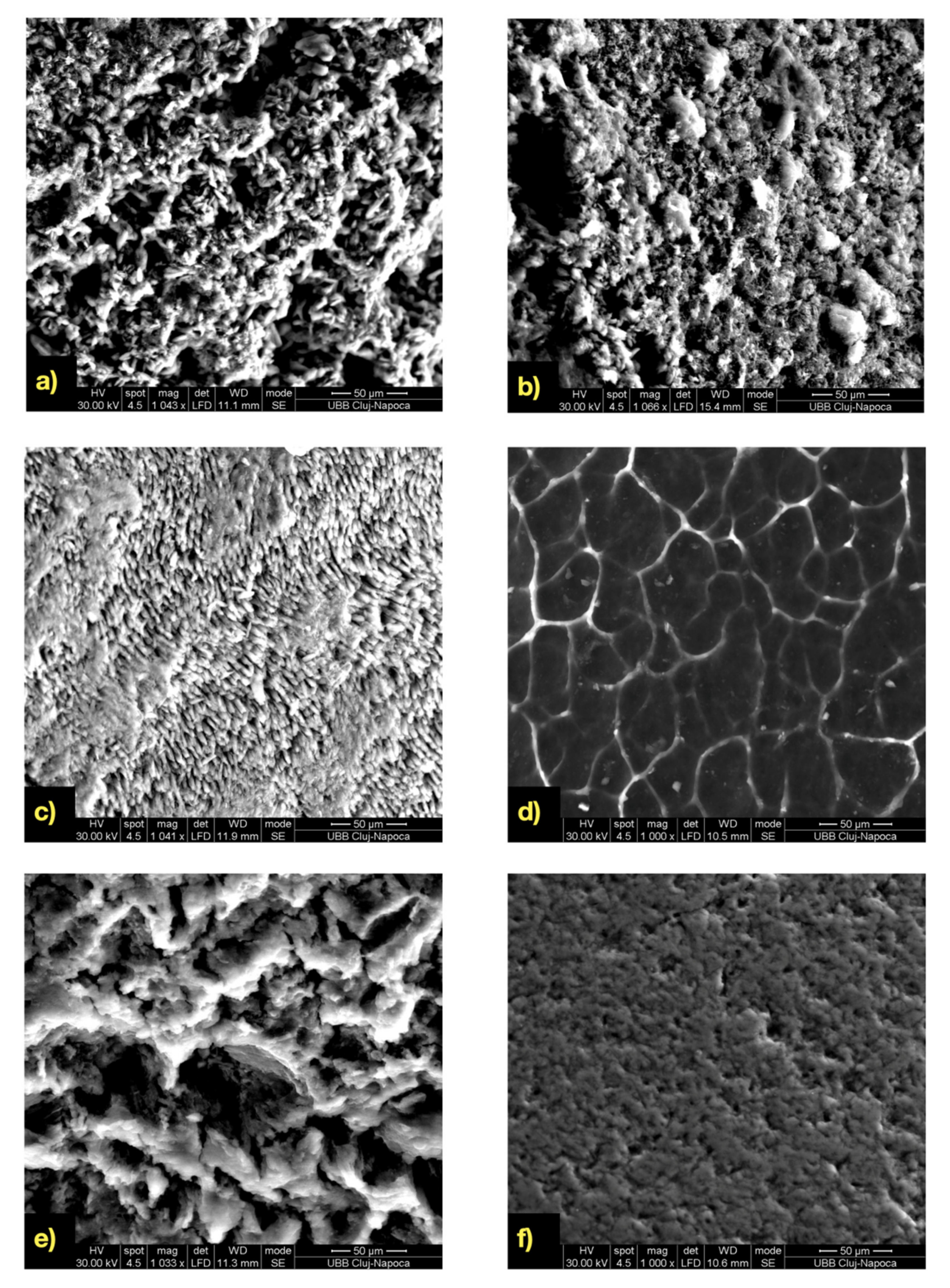 Applsci 11 08270 g006