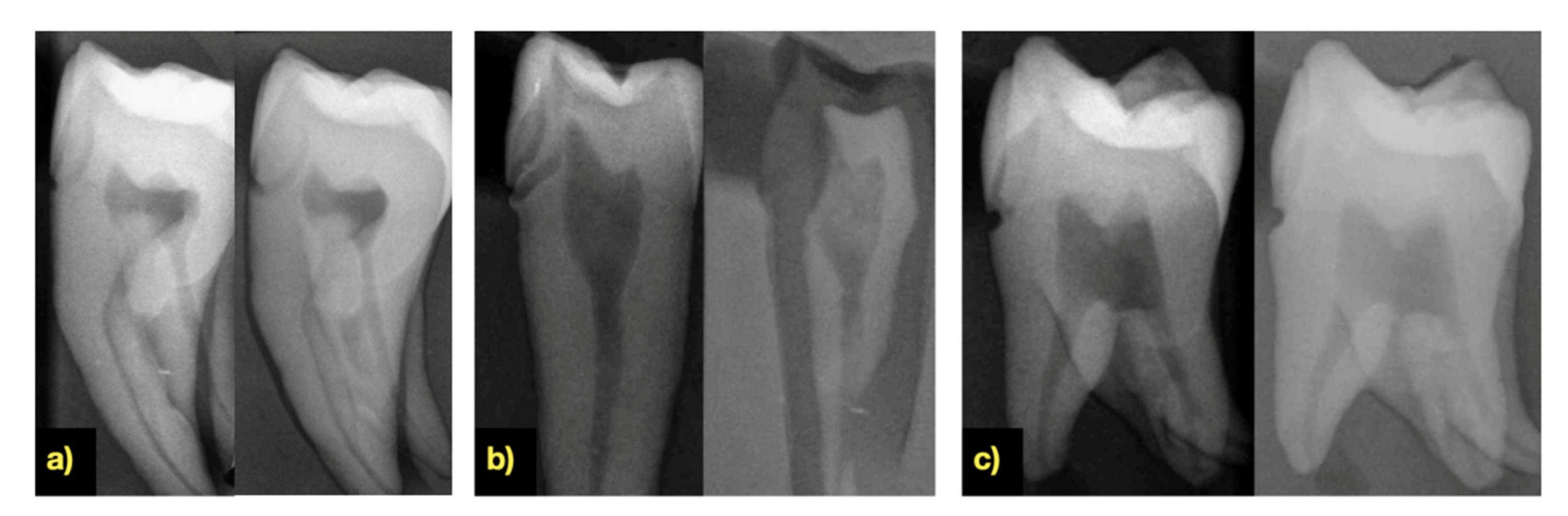 Applsci 11 08270 g010