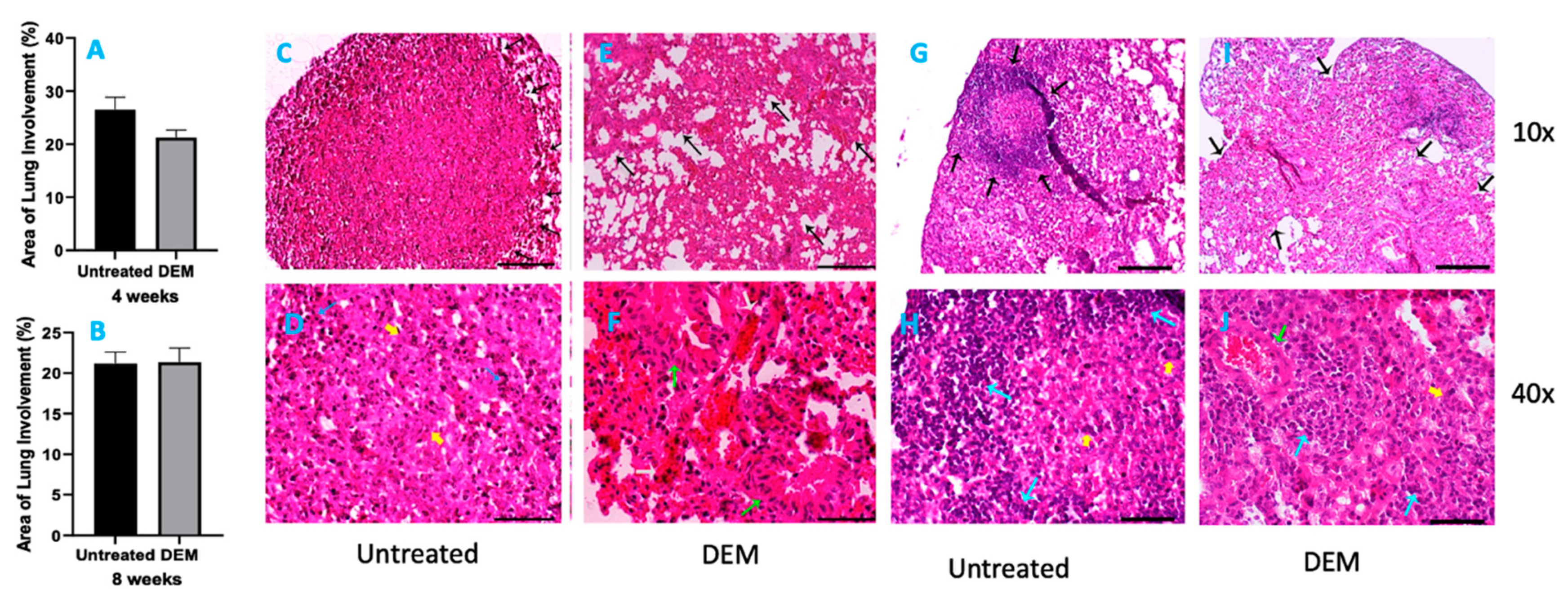 Applsci 11 08274 g006