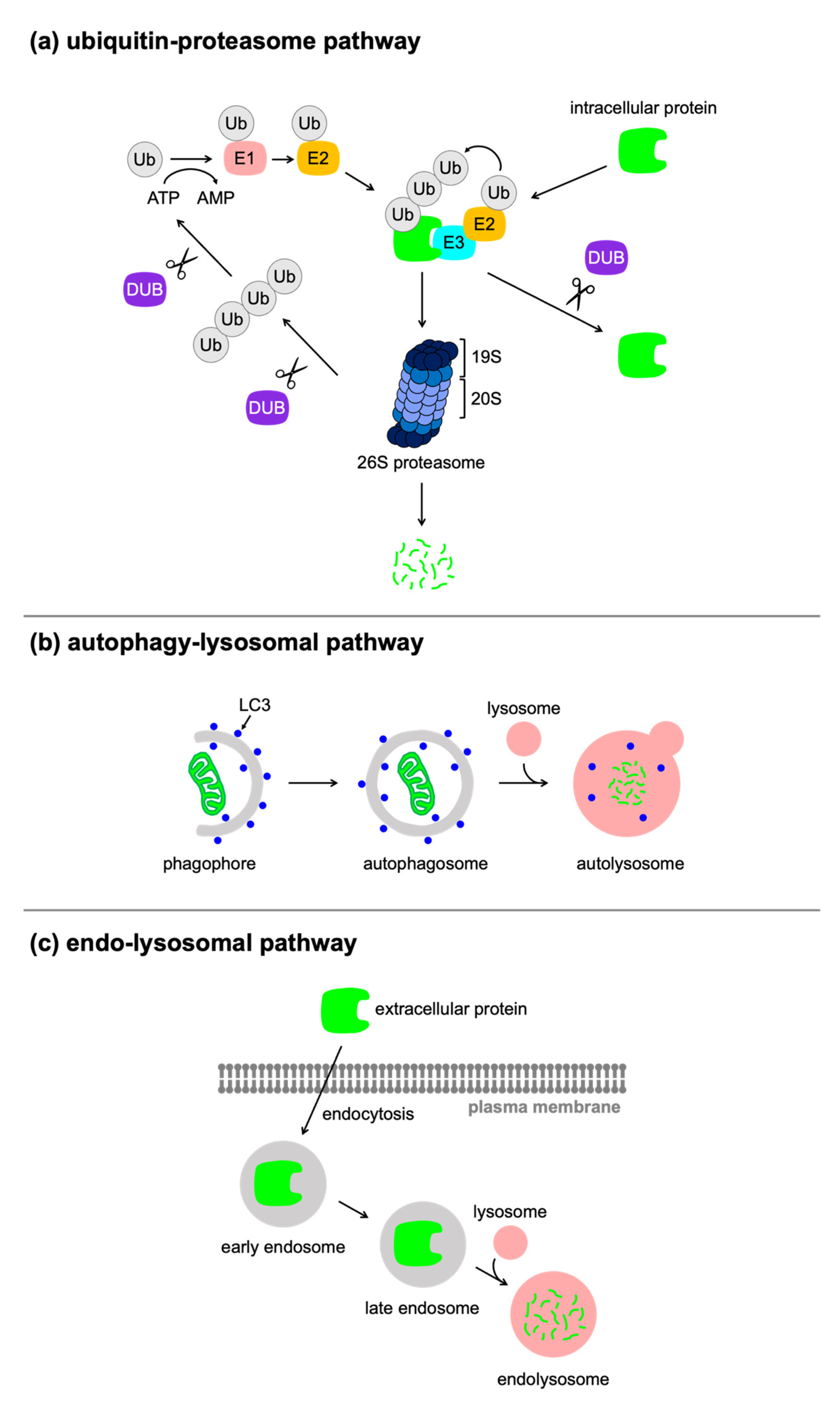 Applsci 11 08300 g001