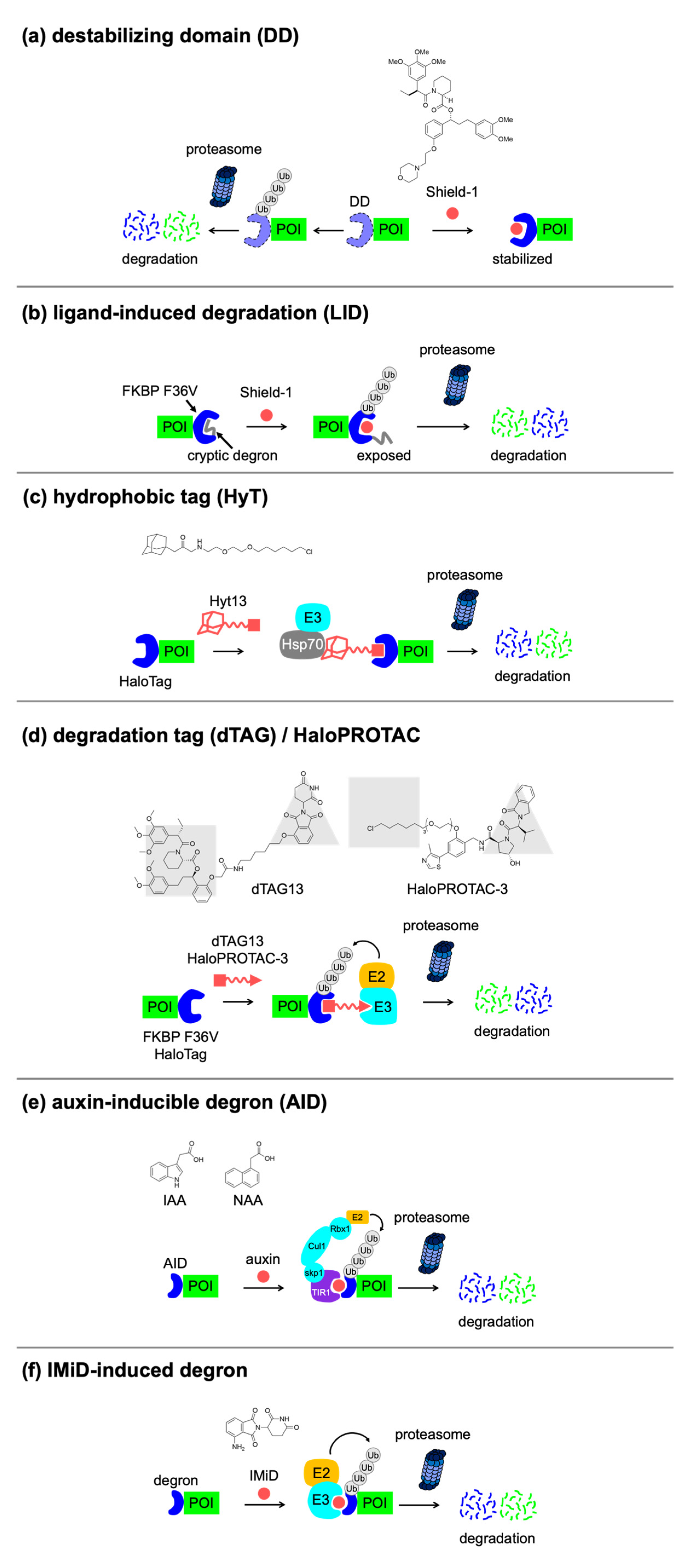 Applsci 11 08300 g003