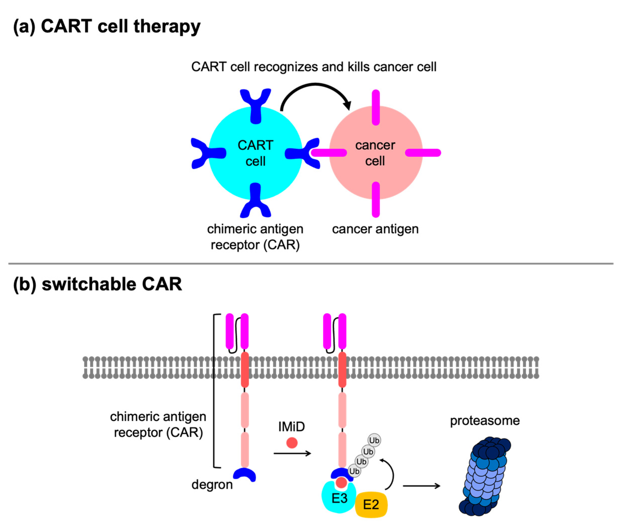 Applsci 11 08300 g007
