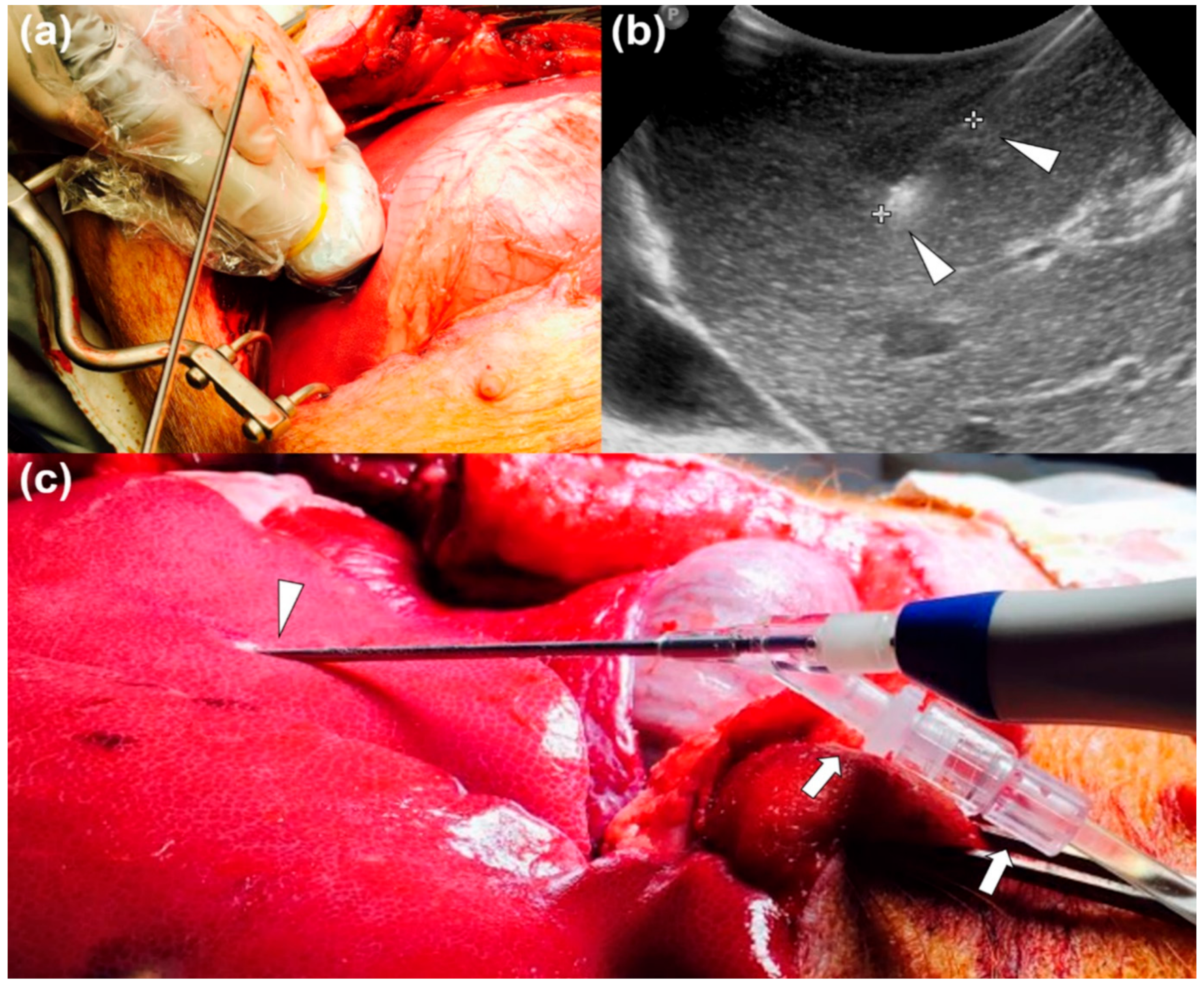 Applsci 11 08301 g003 Applsci 11 08301 g003