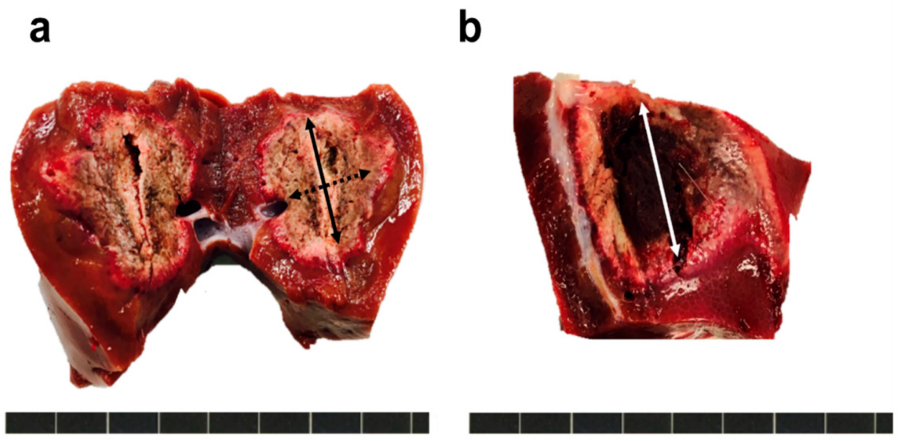 Applsci 11 08301 g004 Applsci 11 08301 g004
