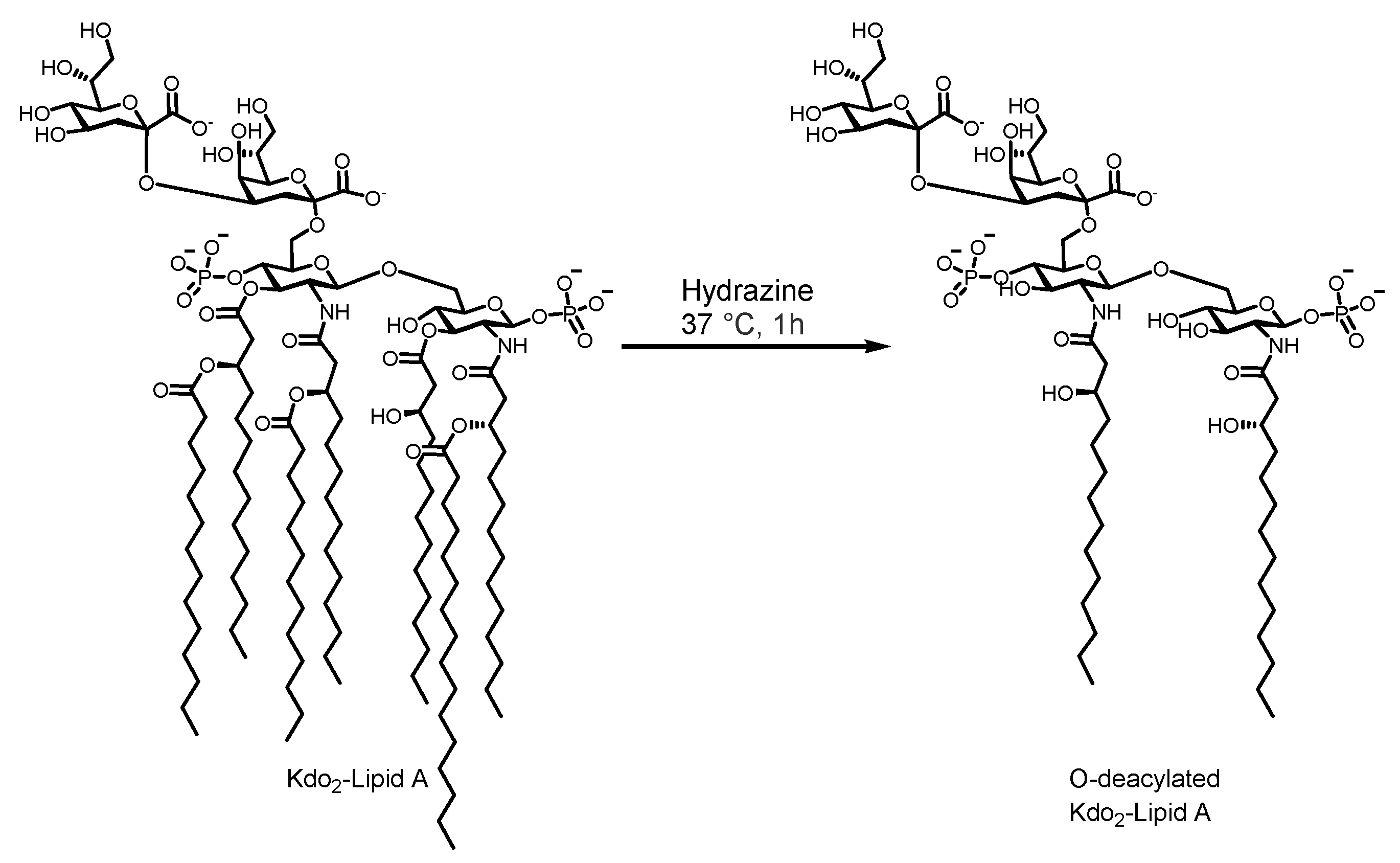 Applsci 11 08314 g003