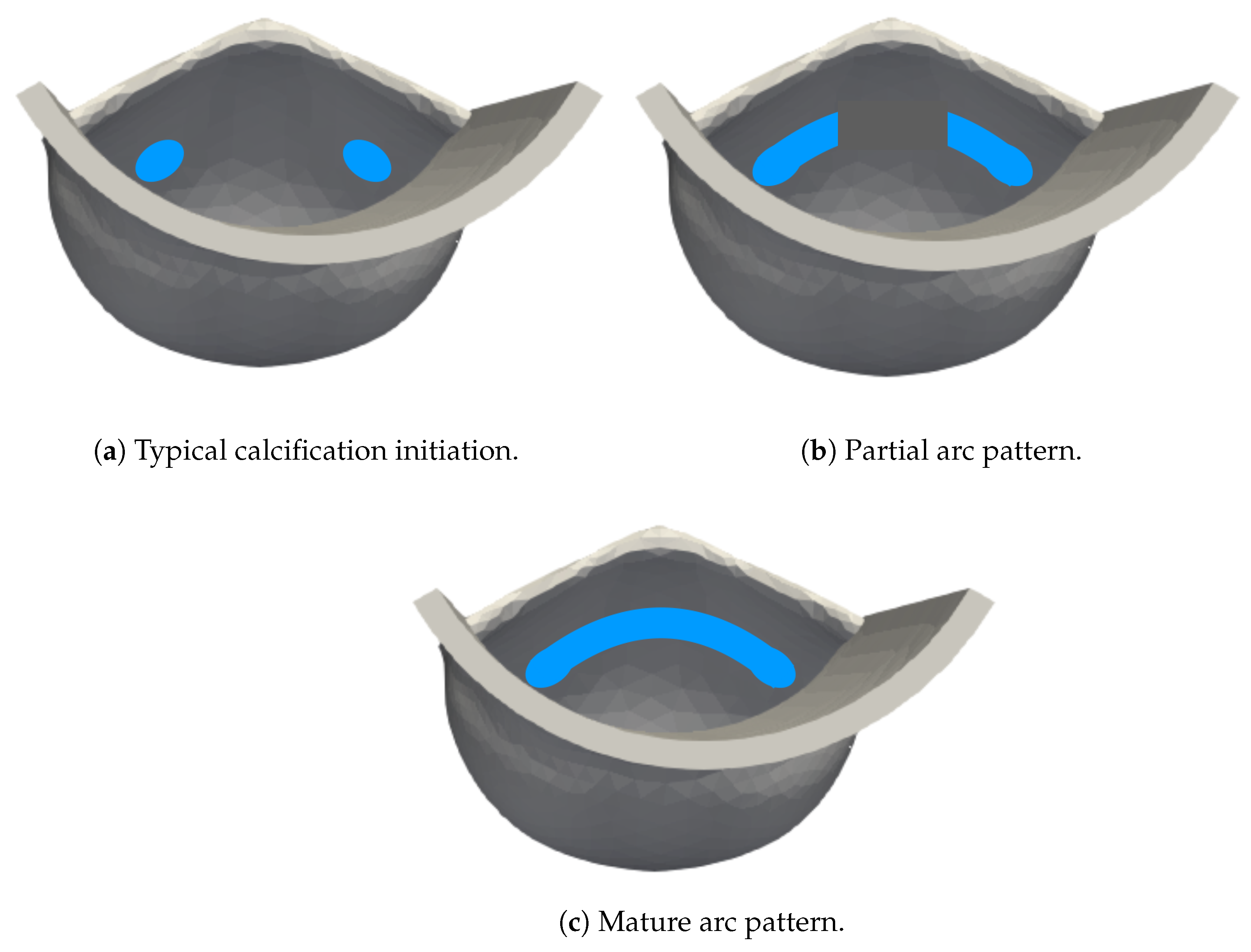 Applsci 11 08332 g003 Applsci 11 08332 g003