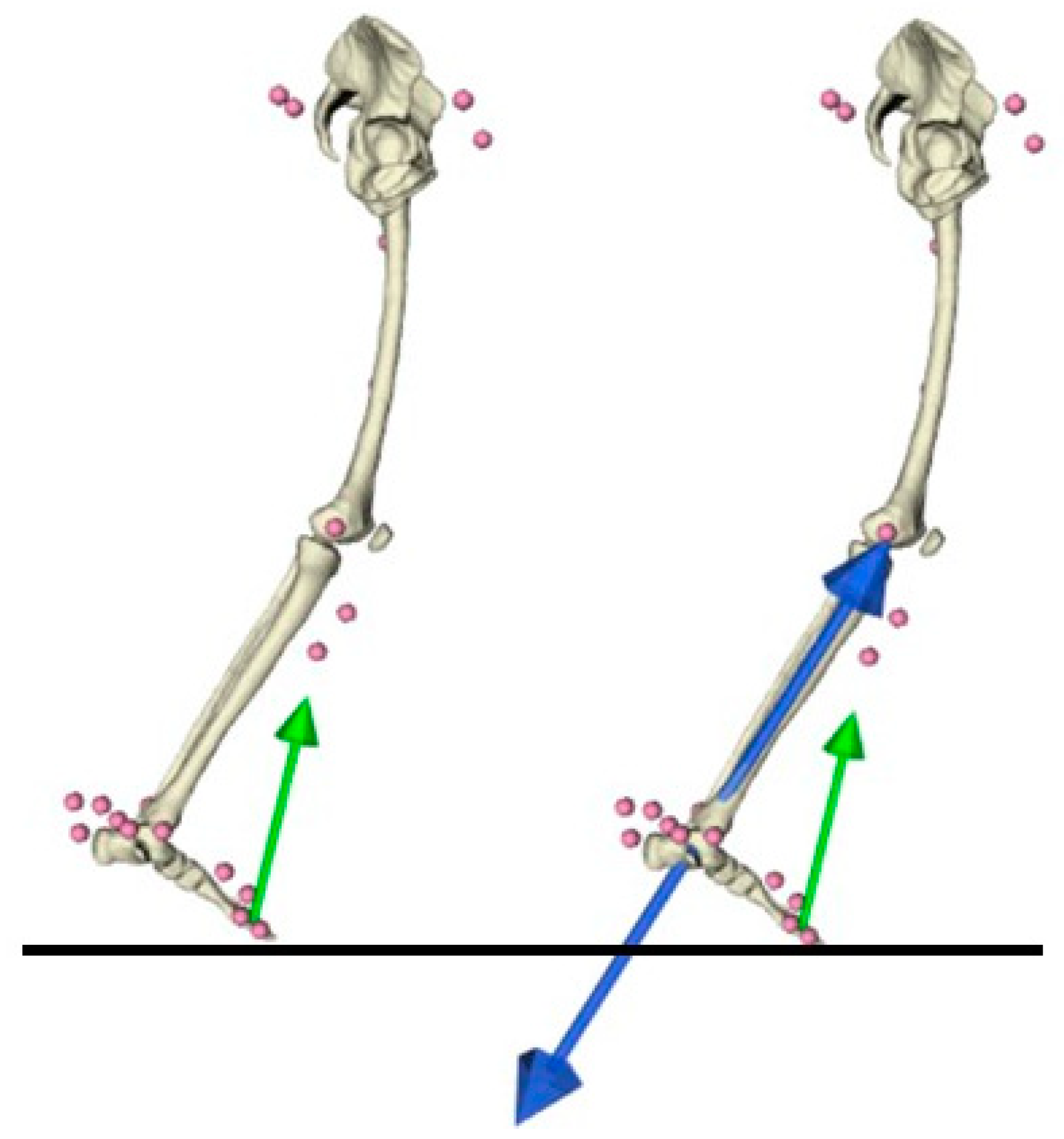Applsci 11 08348 g002 550