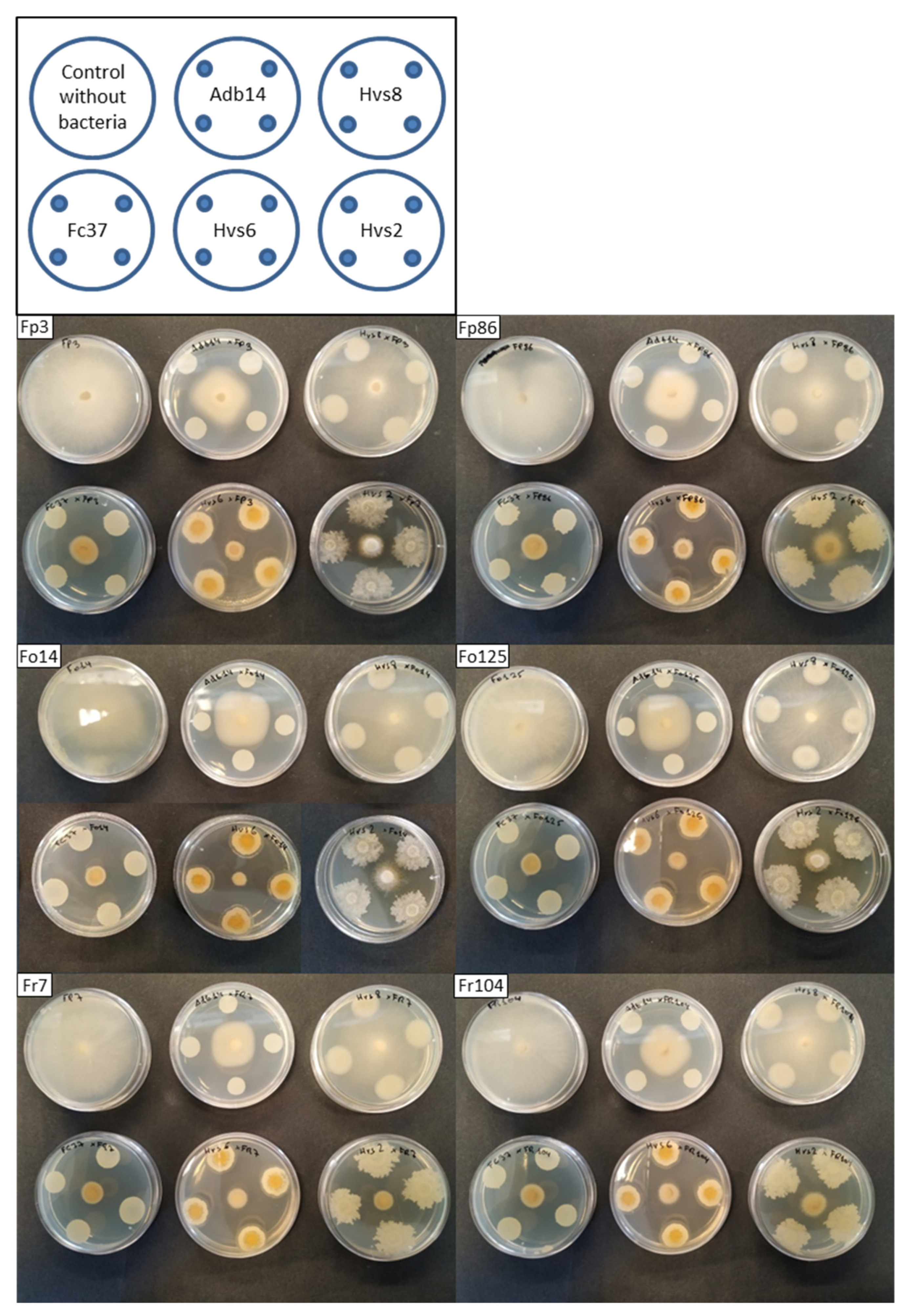 Applsci 11 08356 g002 Applsci 11 08356 g002