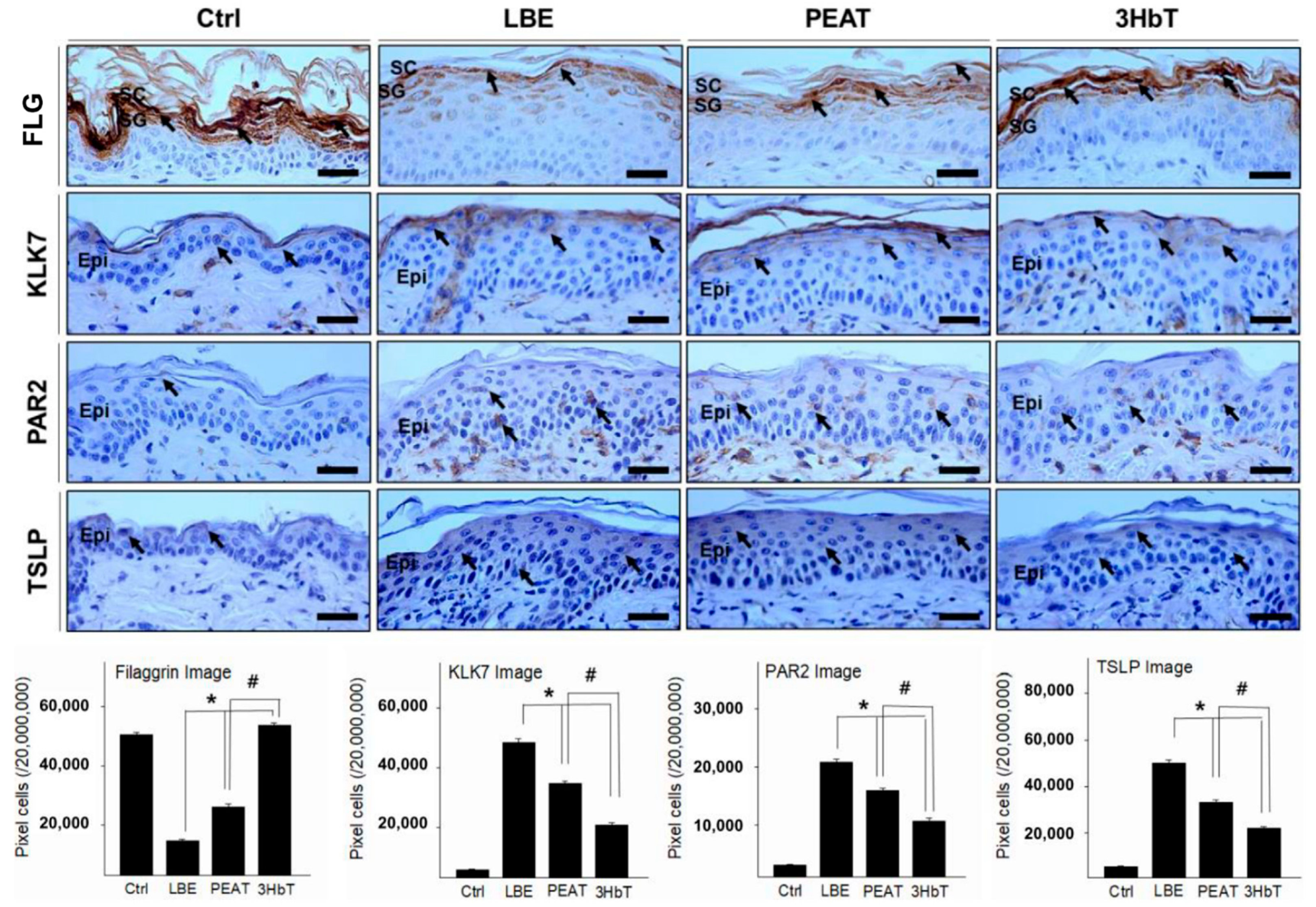 Applsci 11 08380 g004
