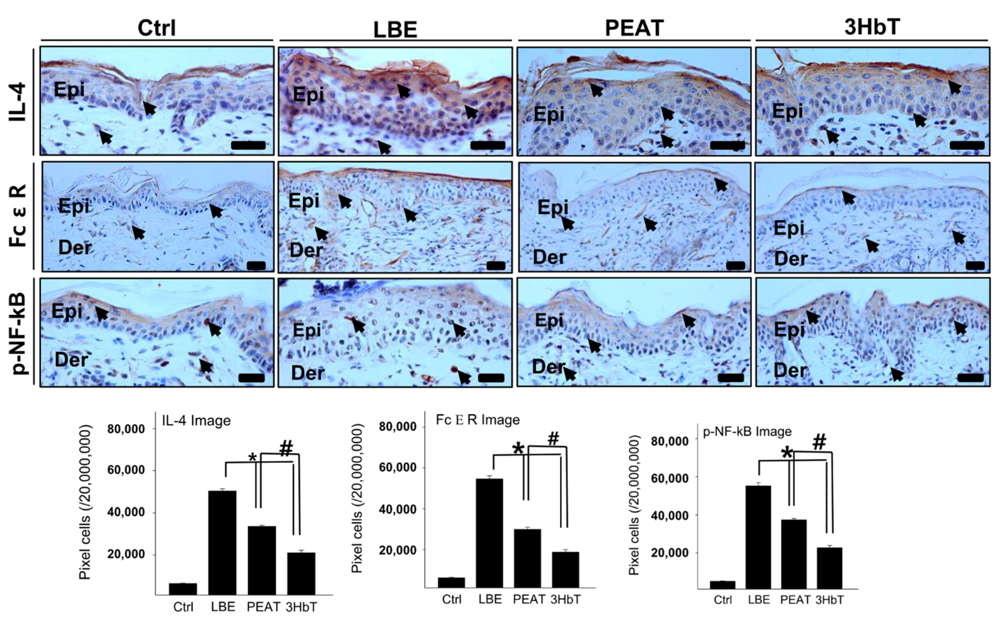 Applsci 11 08380 g005
