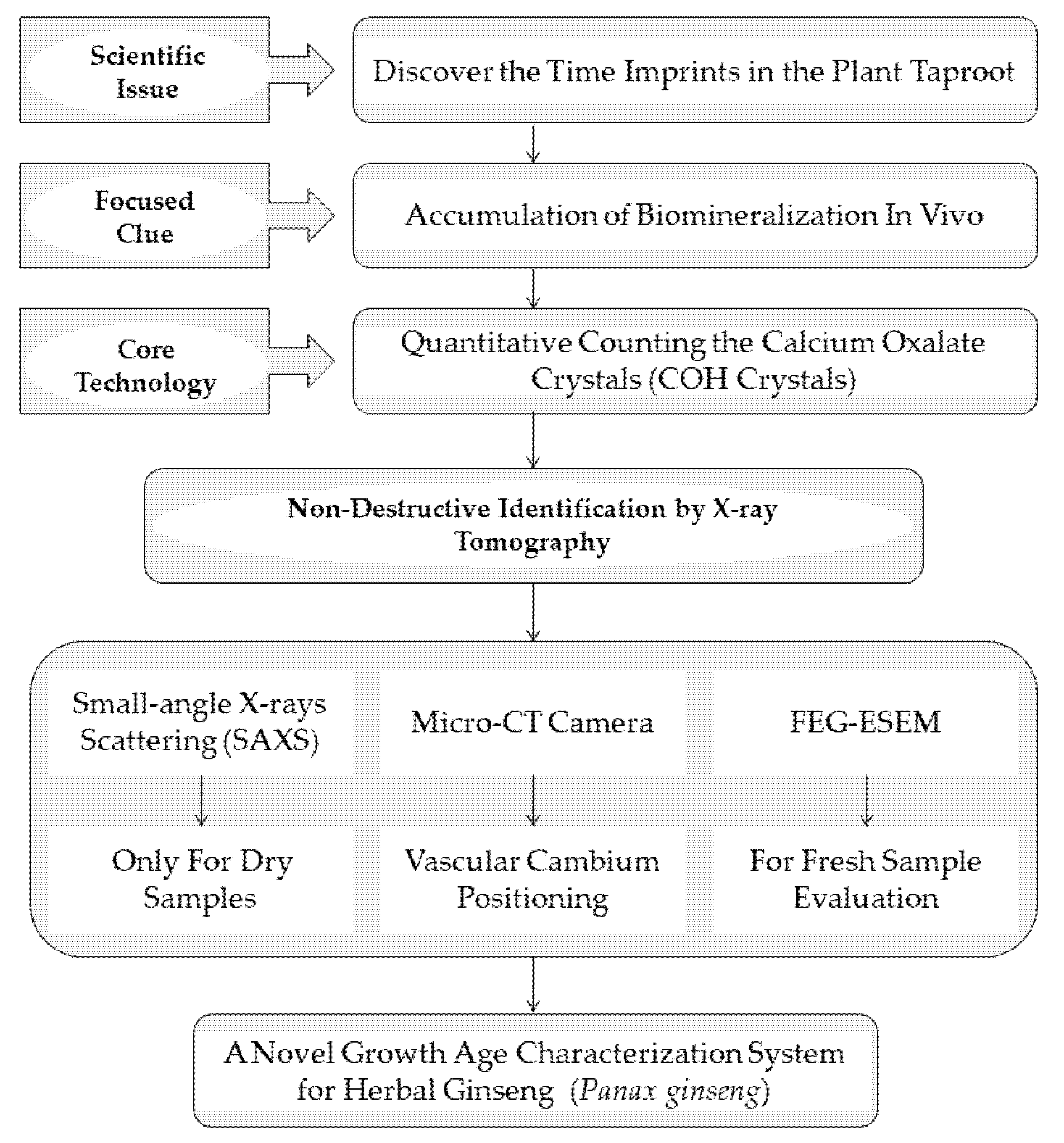 Applsci 11 08389 g001 Applsci 11 08389 g001
