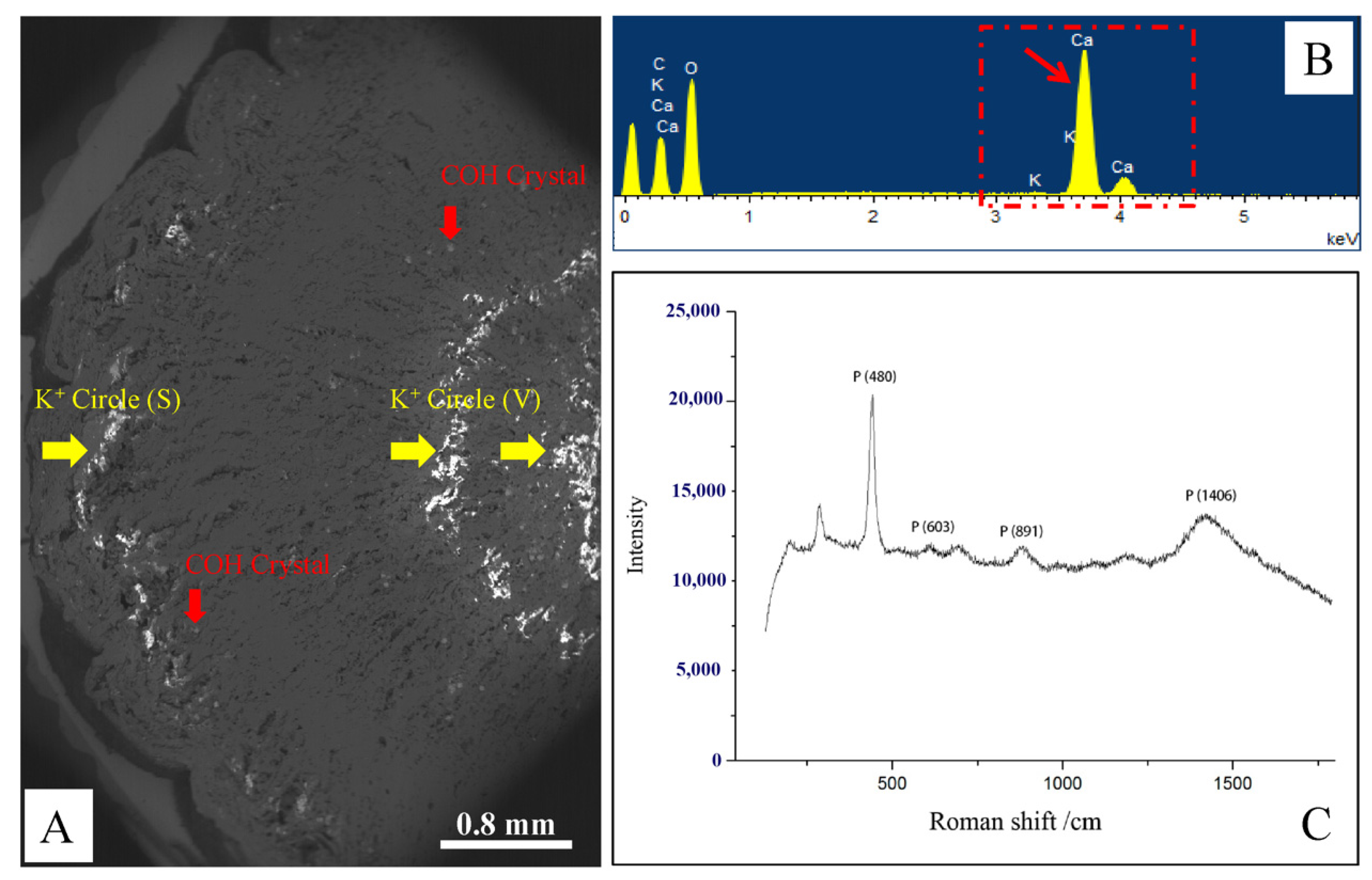 Applsci 11 08389 g002 Applsci 11 08389 g002