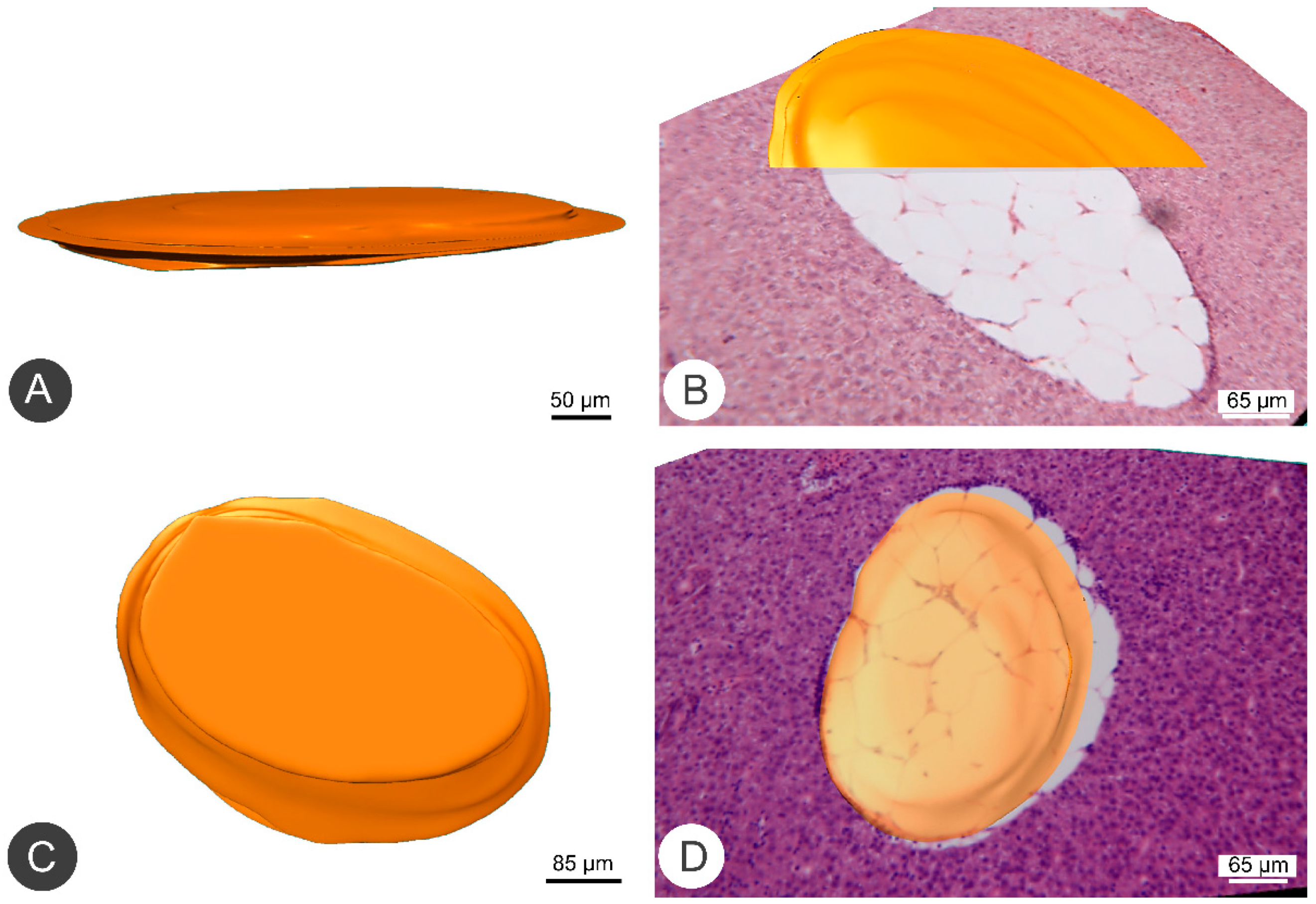 Applsci 11 08392 g003 Applsci 11 08392 g003