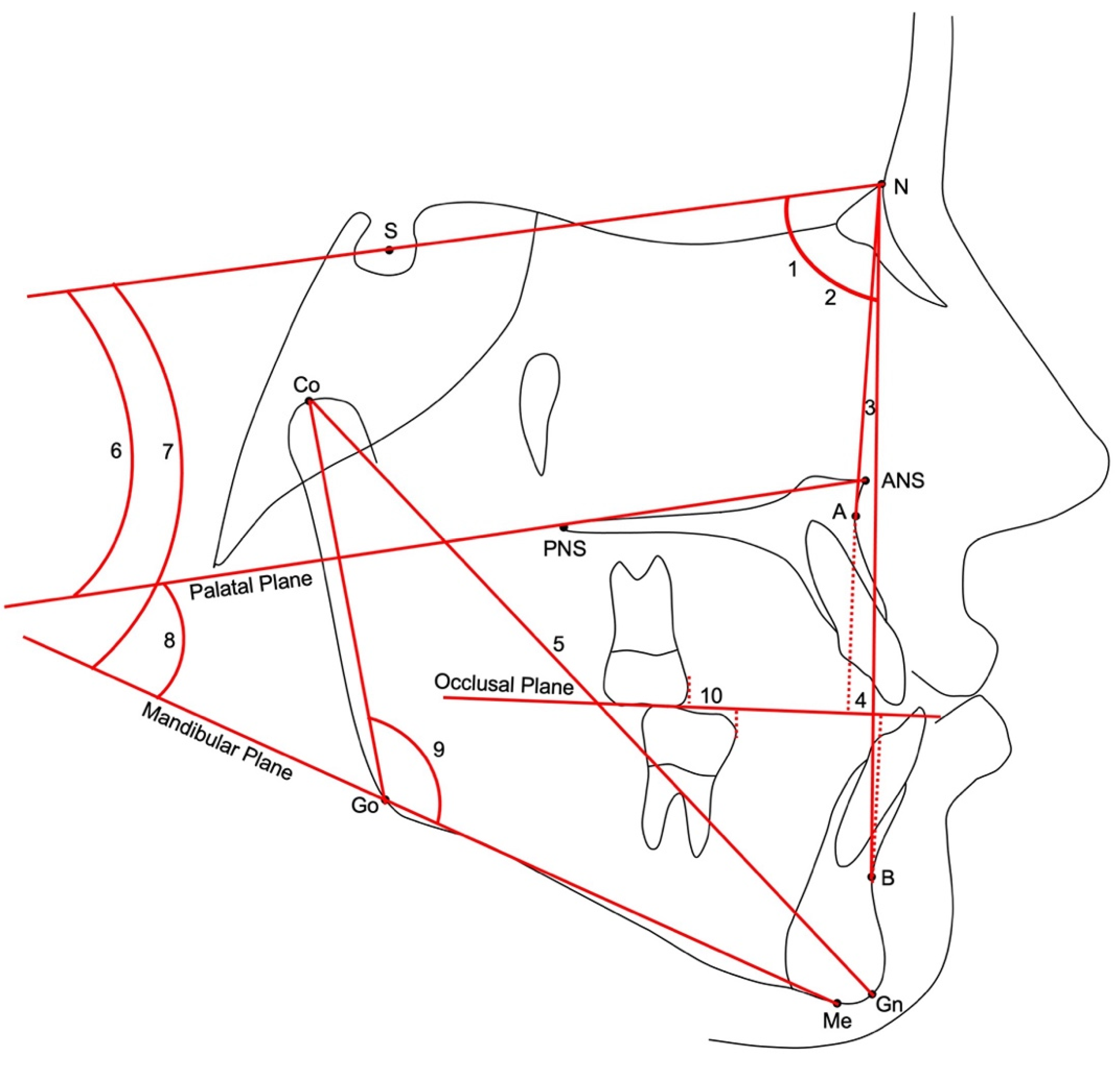 Applsci 11 08393 g001