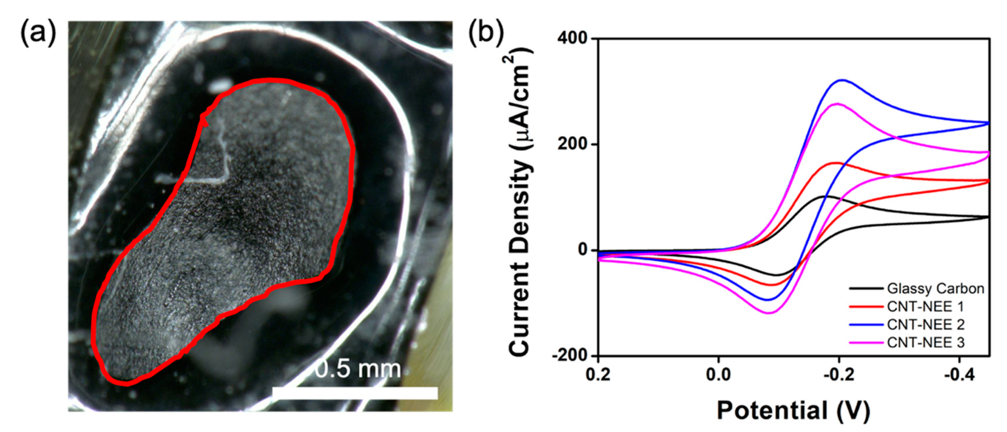 Applsci 11 08399 g005 550