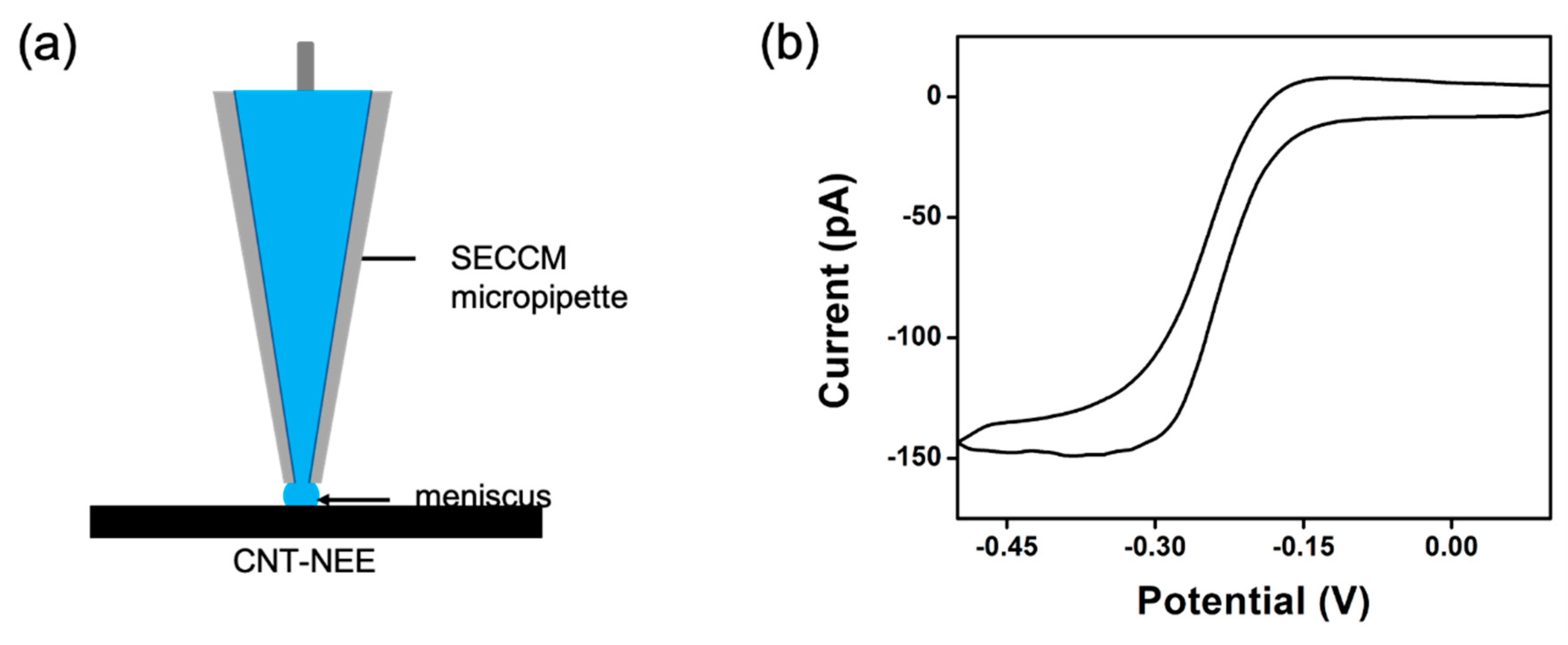 Applsci 11 08399 g007 550