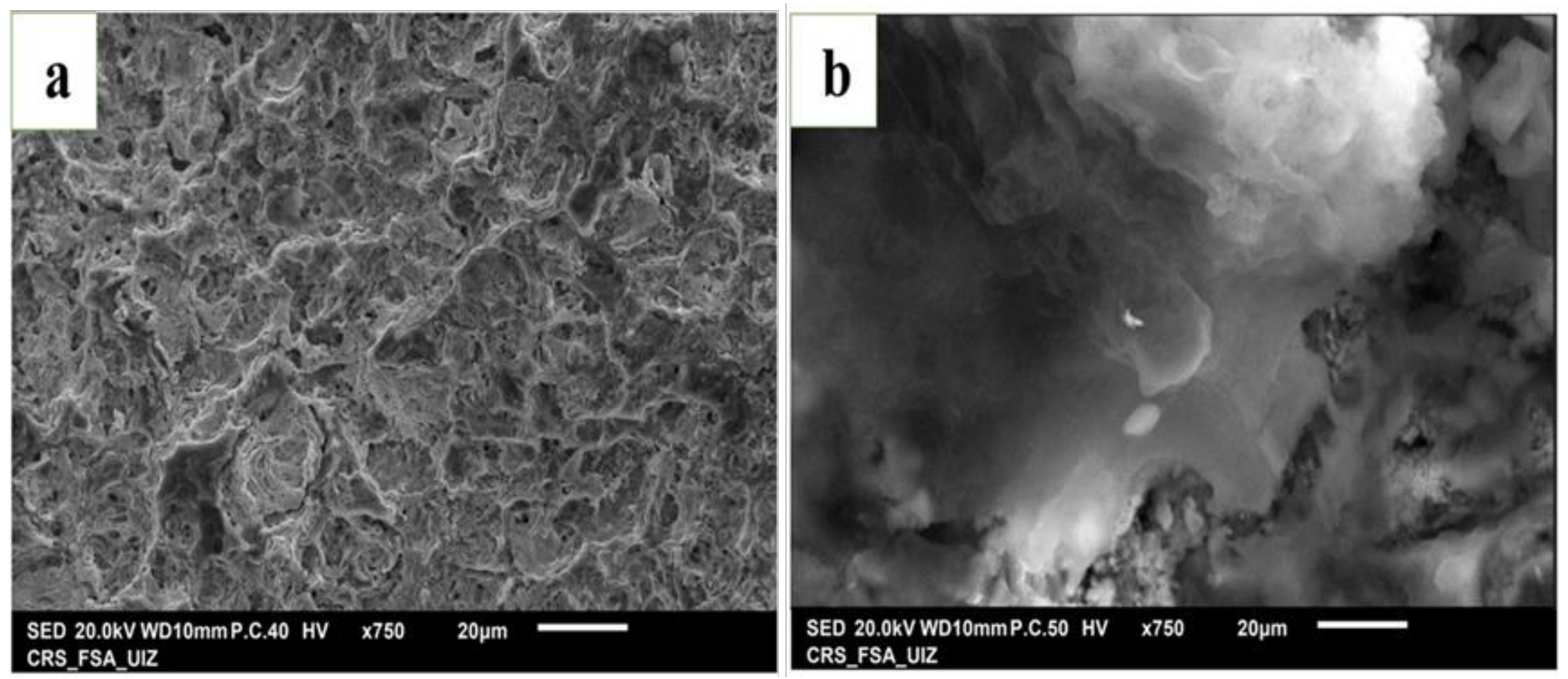 Applsci 11 08401 g011 550