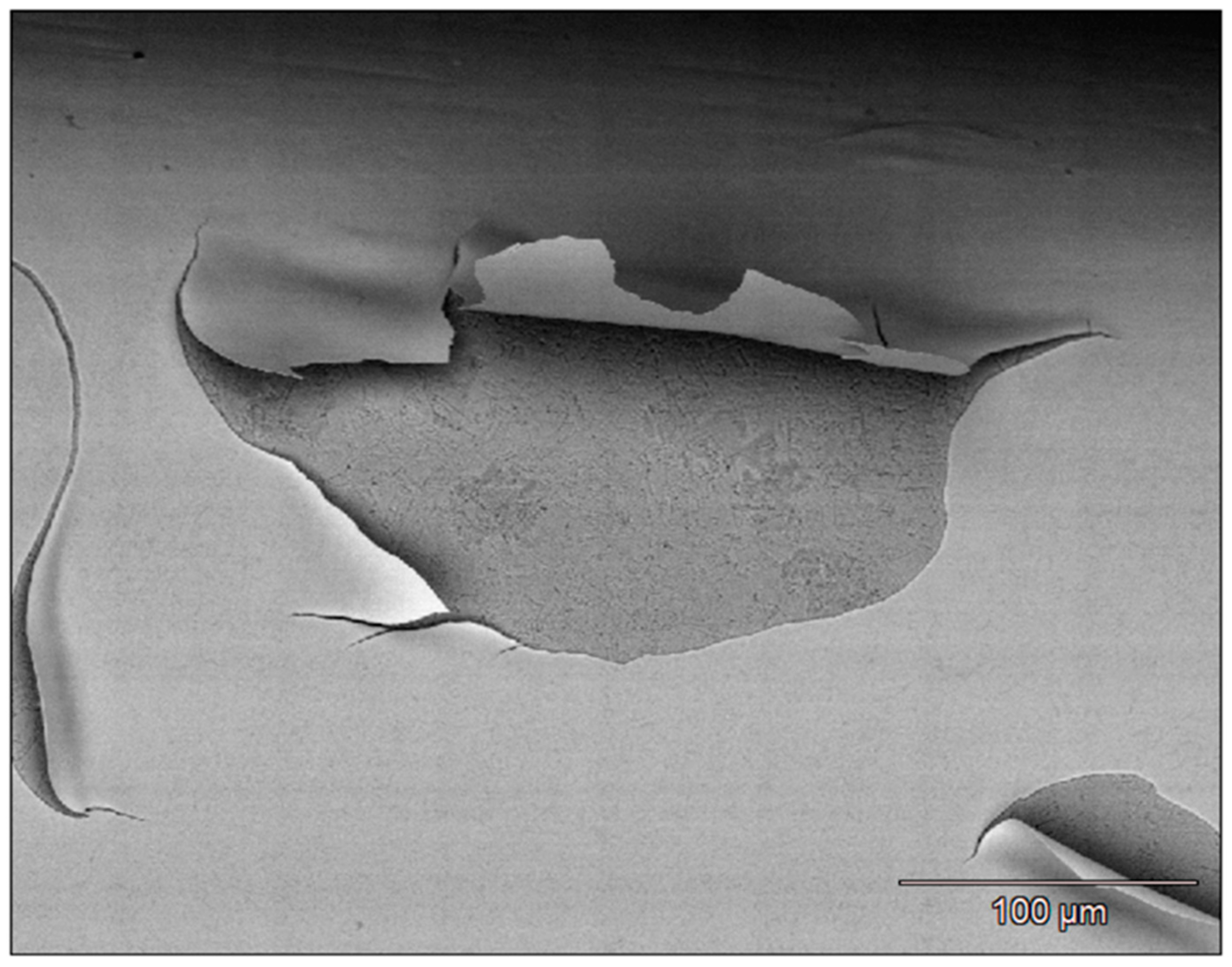 Applsci 11 08403 g004