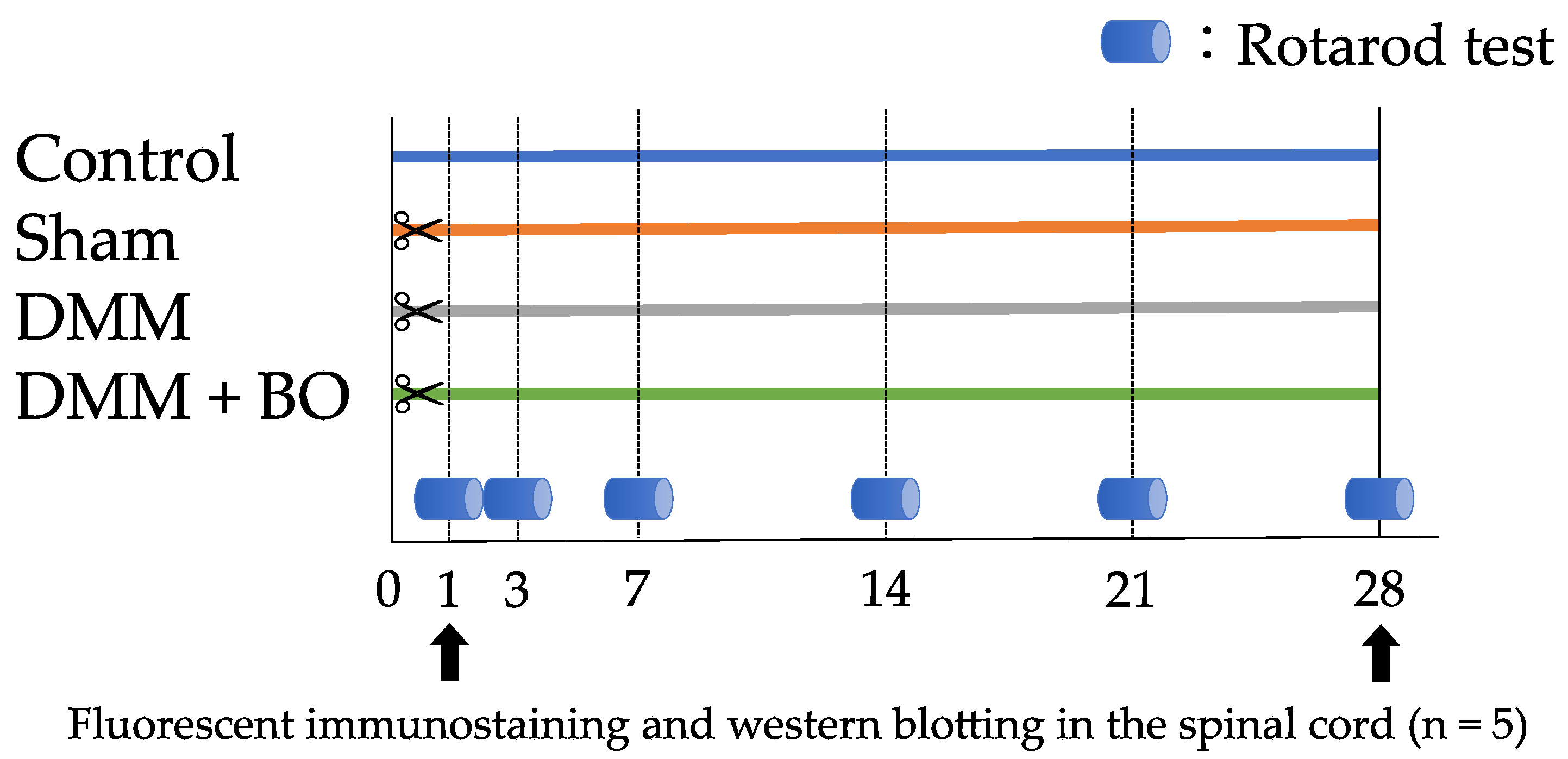 Applsci 11 08421 g001 Applsci 11 08421 g001