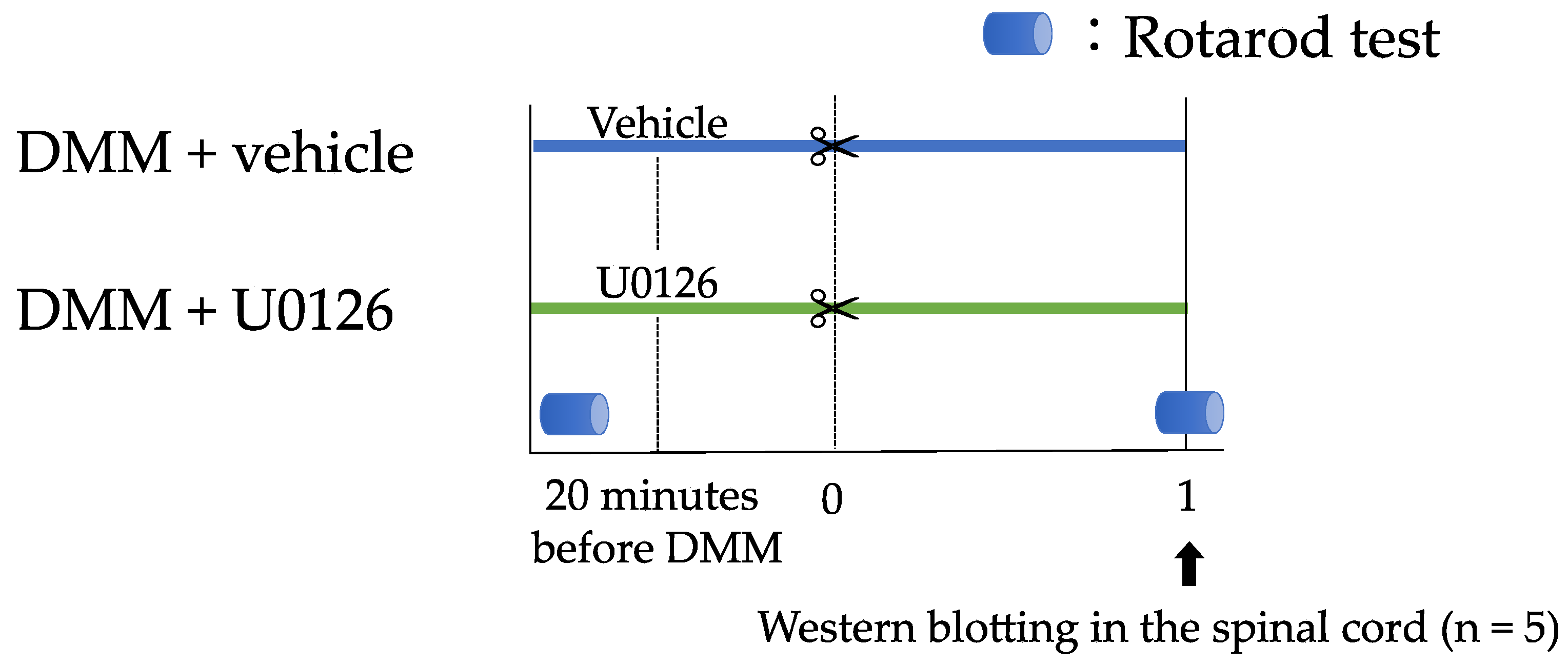 Applsci 11 08421 g002 Applsci 11 08421 g002