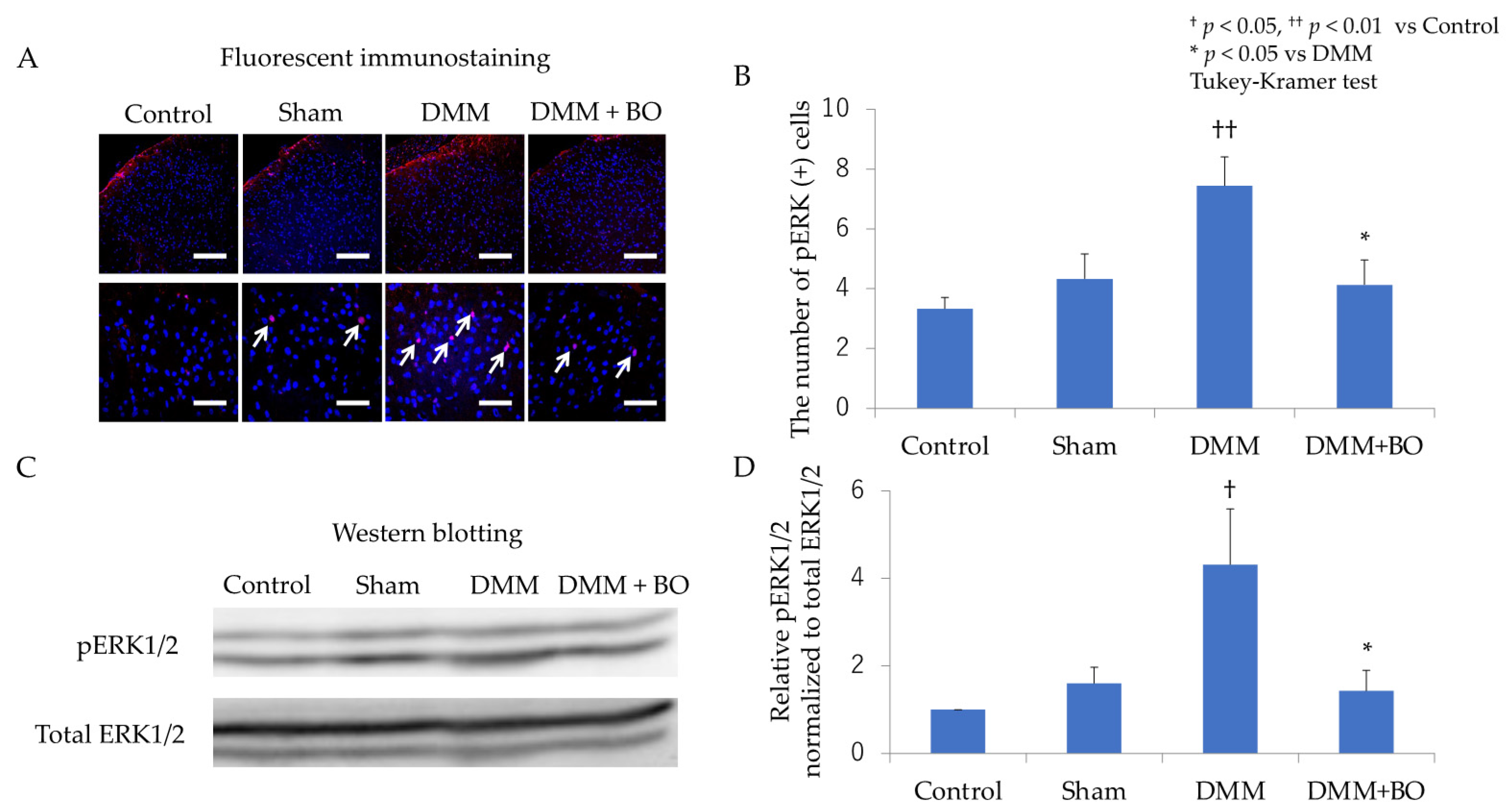 Applsci 11 08421 g004 Applsci 11 08421 g004