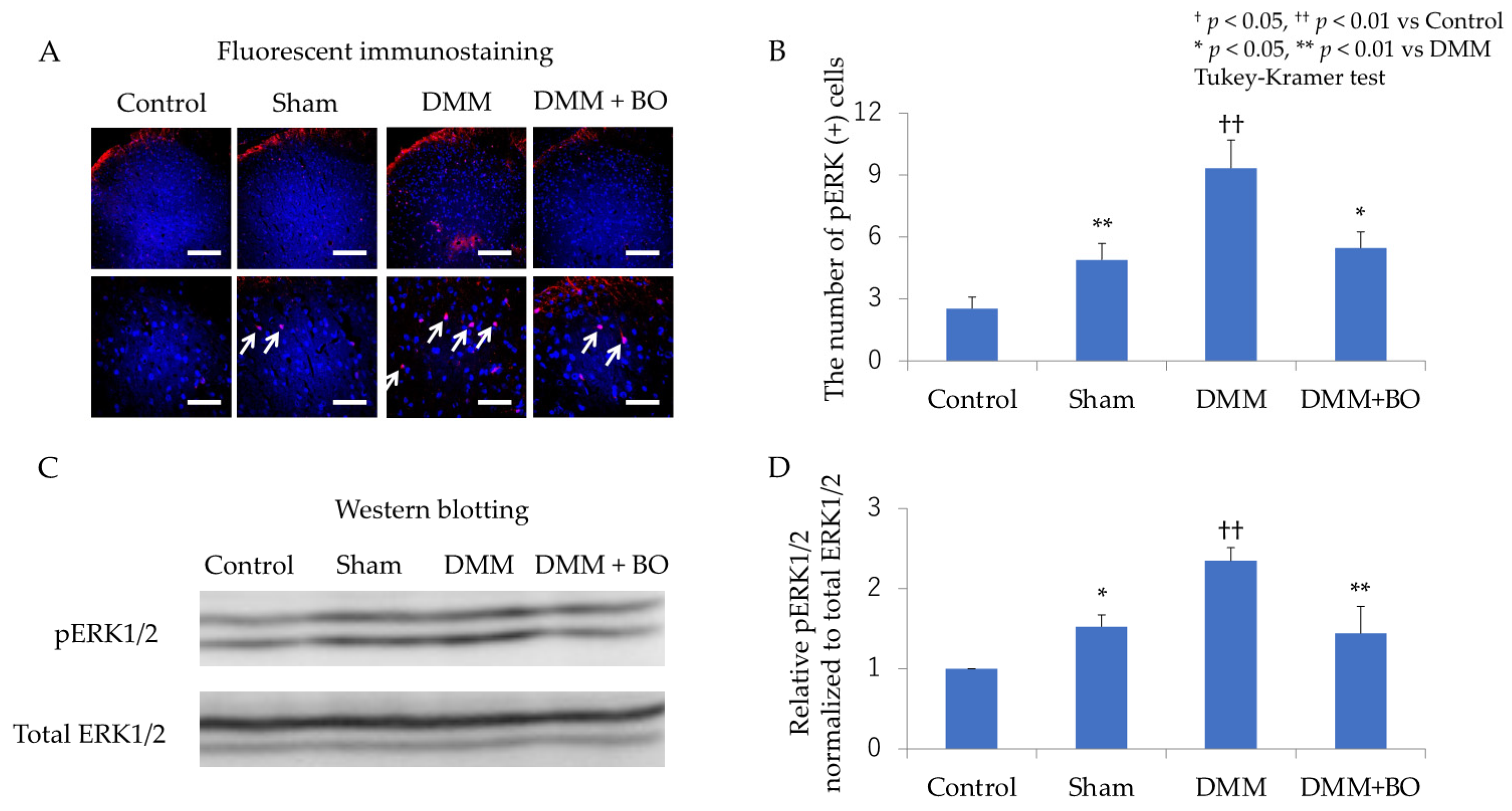 Applsci 11 08421 g005 Applsci 11 08421 g005