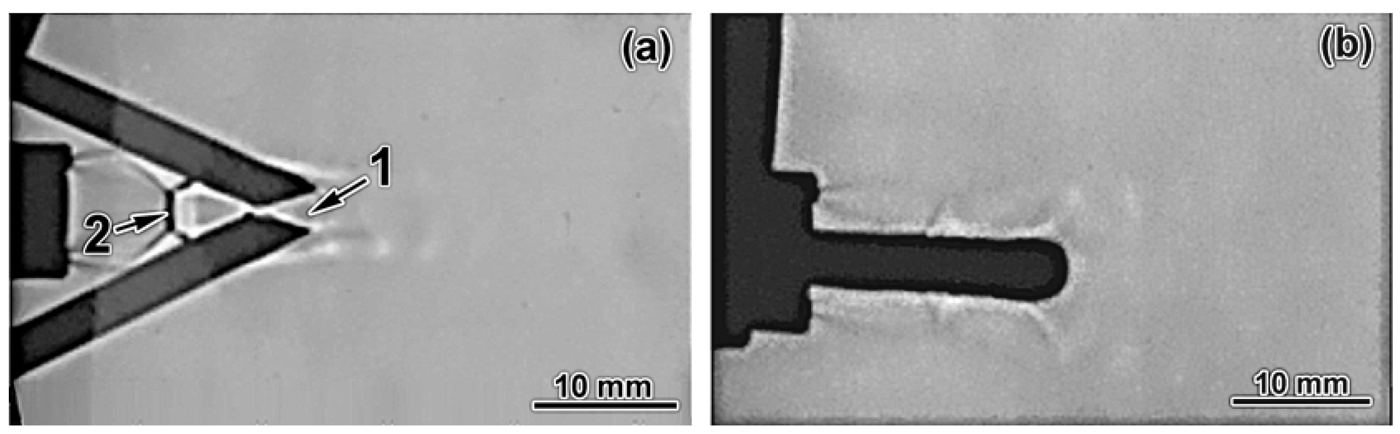 Applsci 11 08444 g004 Applsci 11 08444 g004