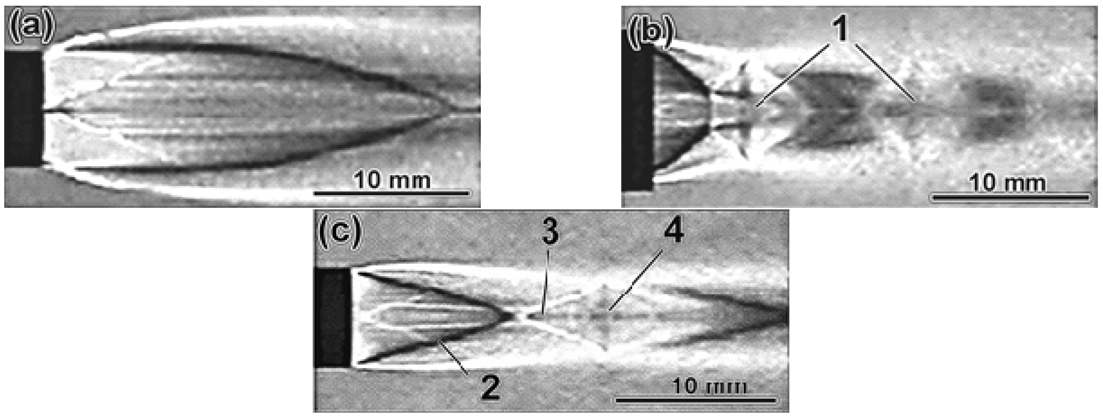 Applsci 11 08444 g006 Applsci 11 08444 g006