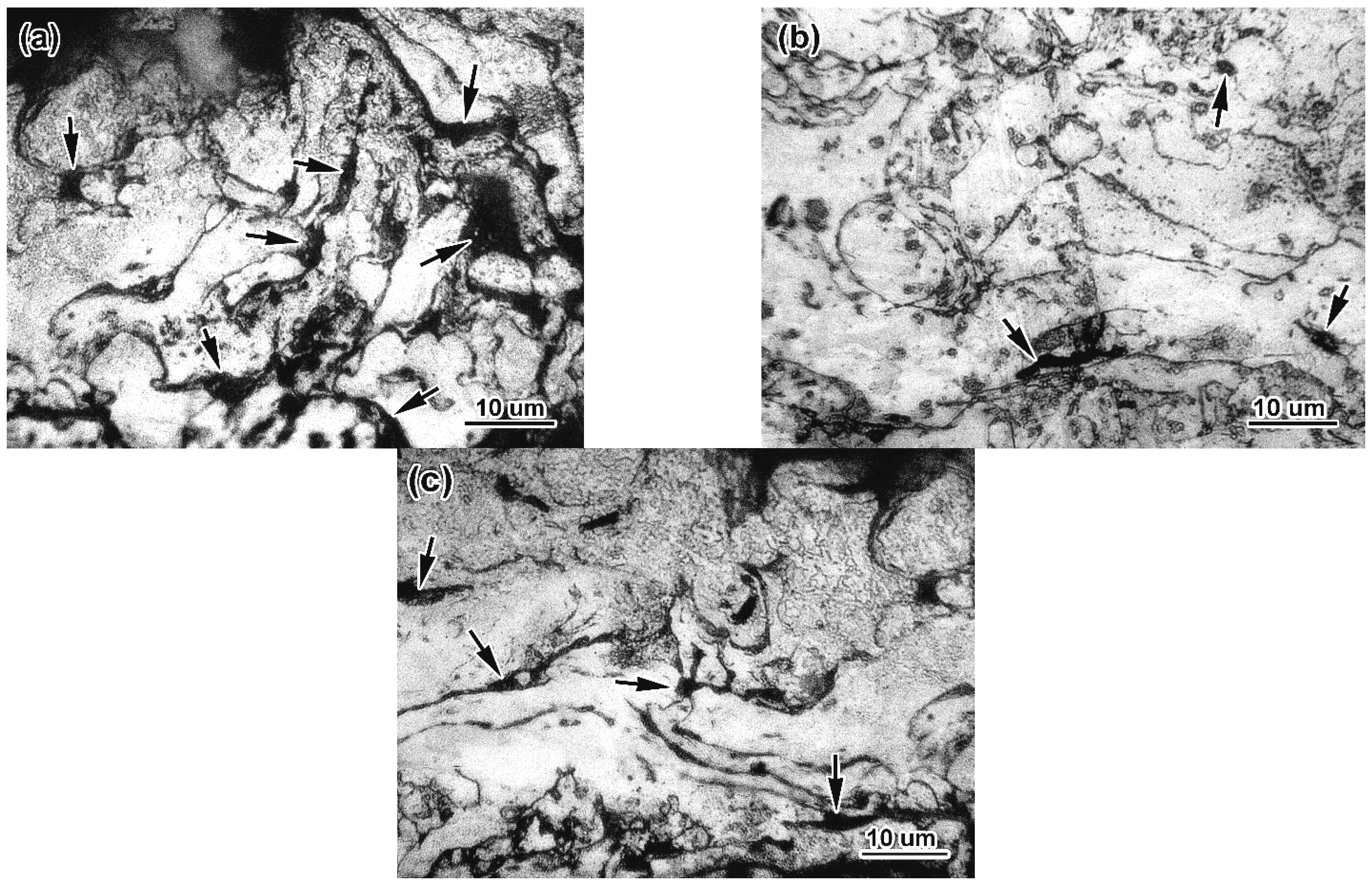 Applsci 11 08444 g008 Applsci 11 08444 g008