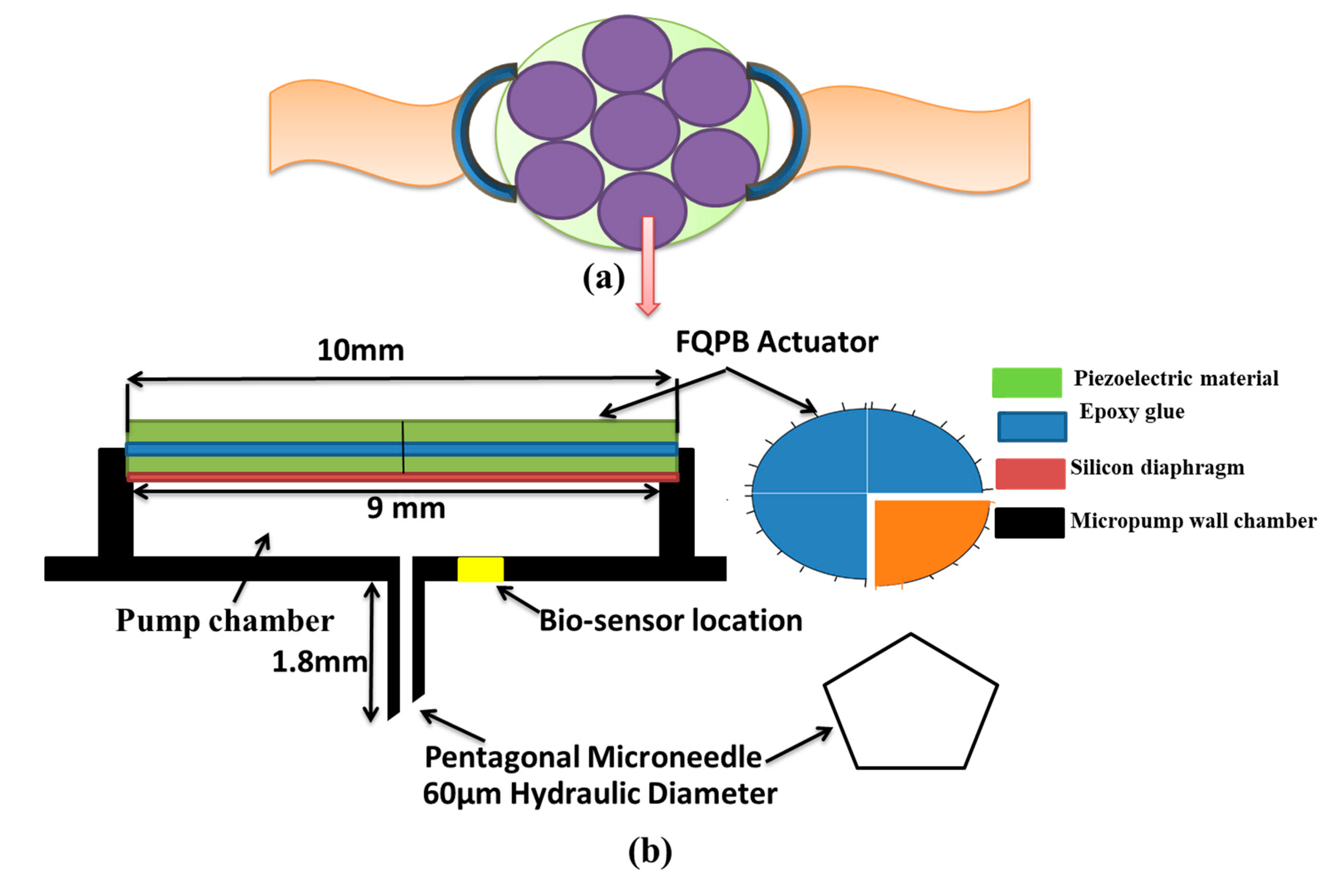 Applsci 11 08449 g001
