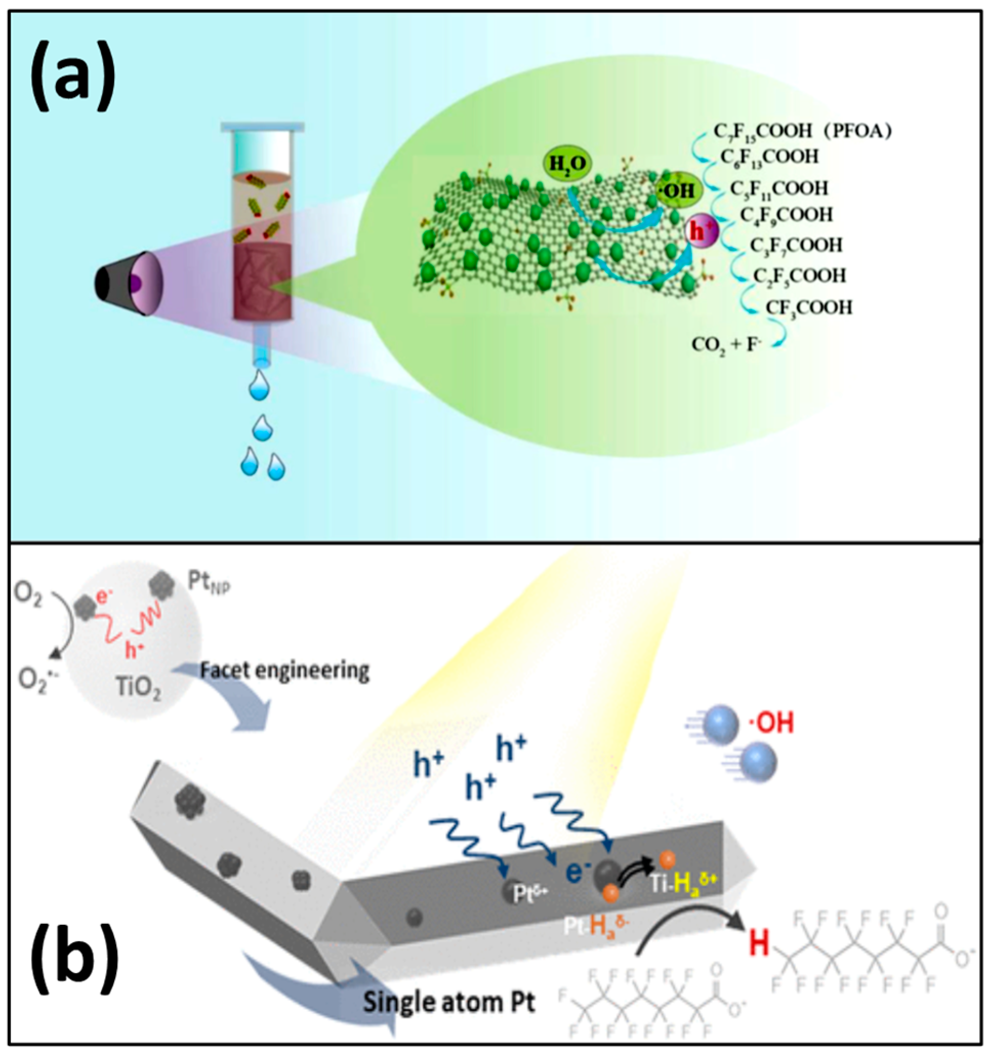 Applsci 11 08458 g002
