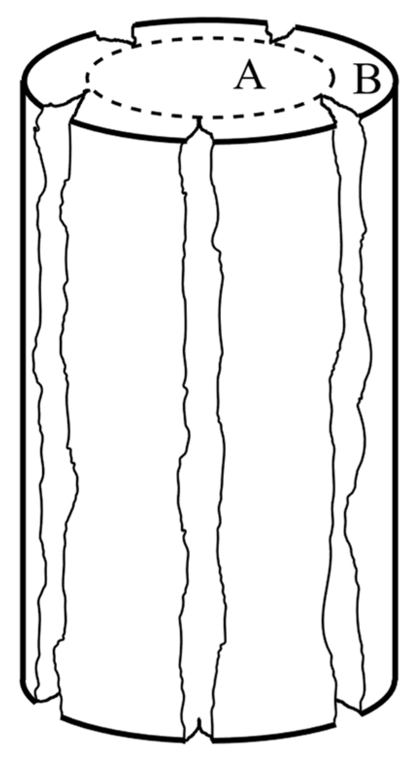 Applsci 11 08460 g012 550