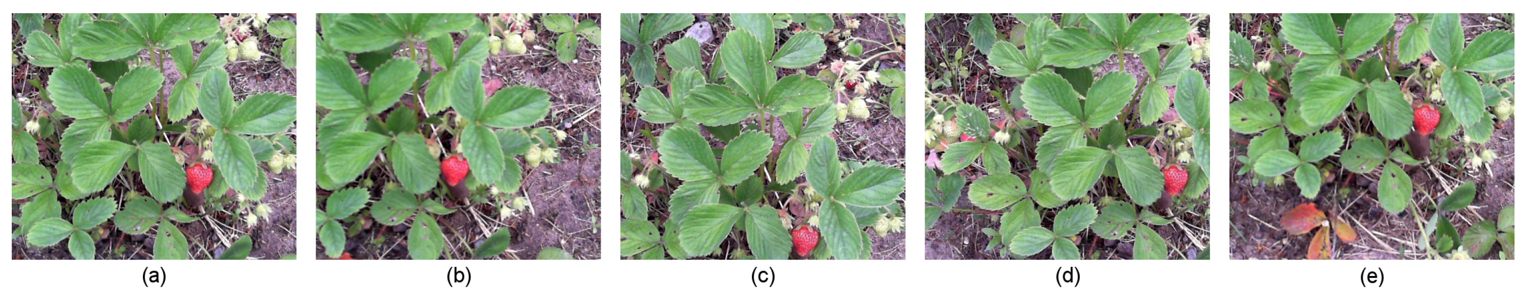 Applsci 11 08464 g005 550