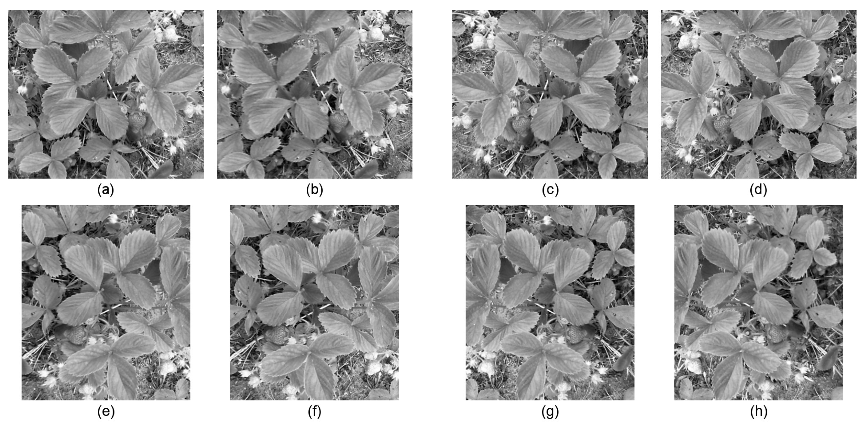 Applsci 11 08464 g006 550