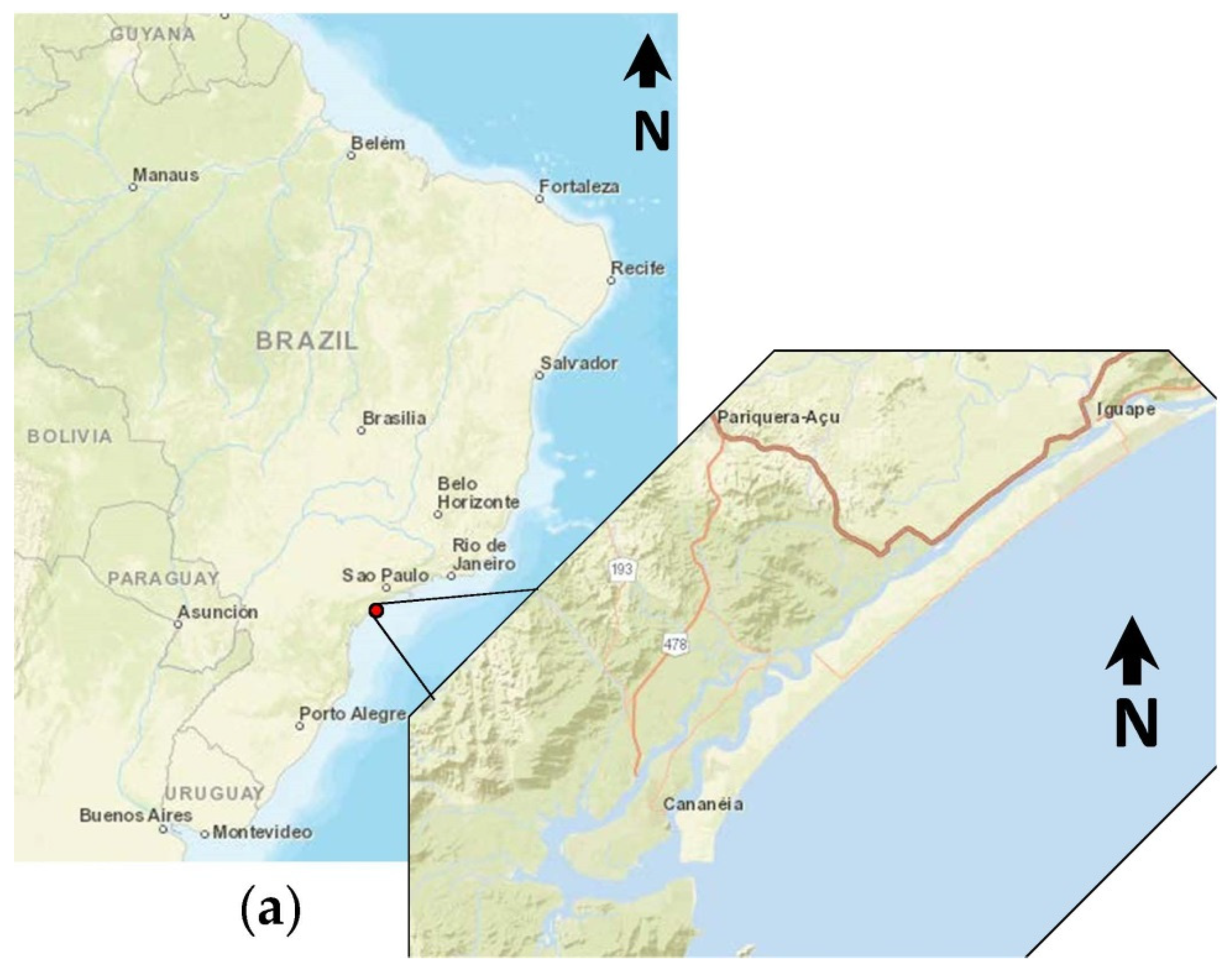 Applsci 11 08466 g001a Applsci 11 08466 g001a