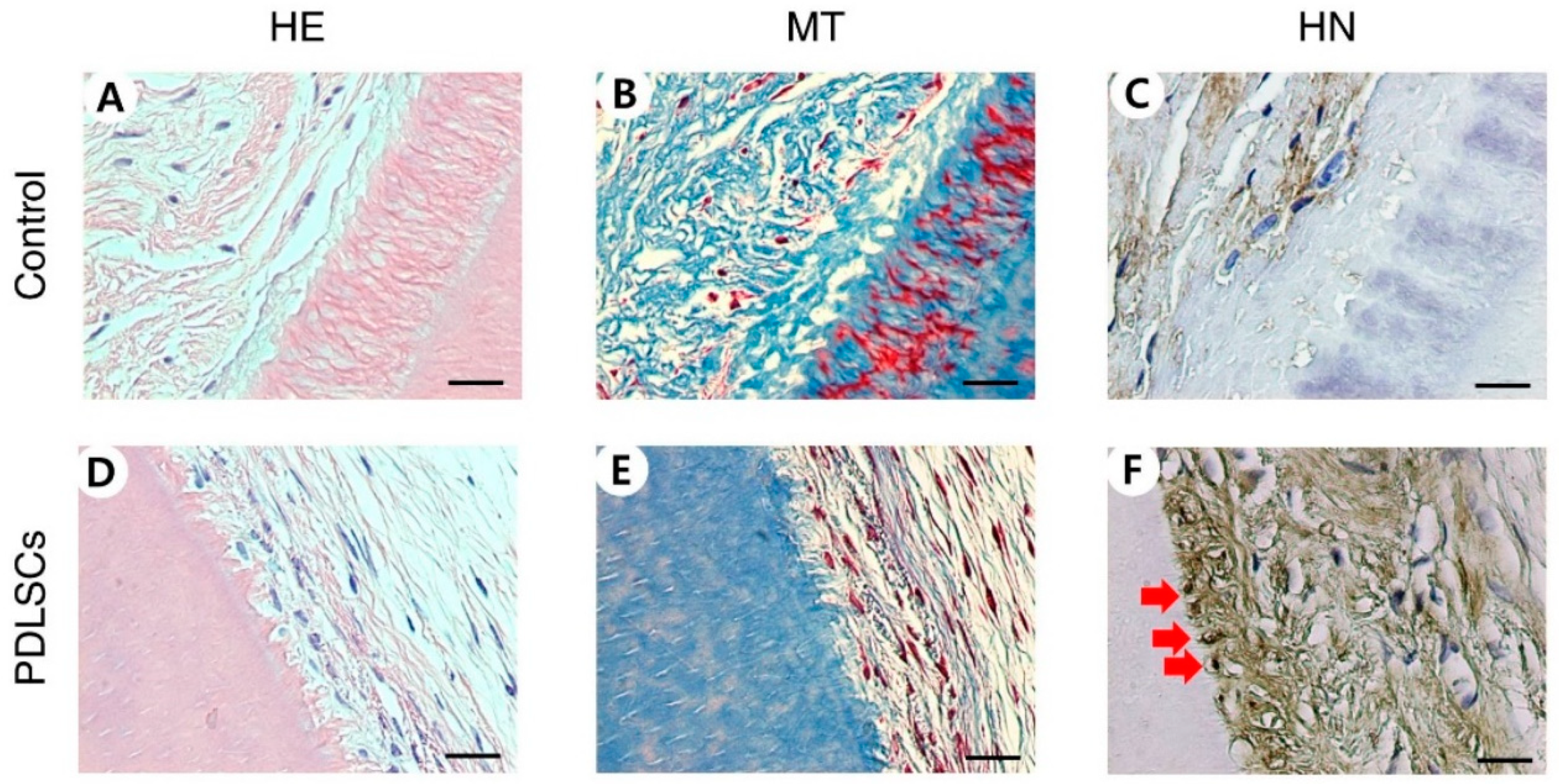 Applsci 11 08472 g001 Applsci 11 08472 g001