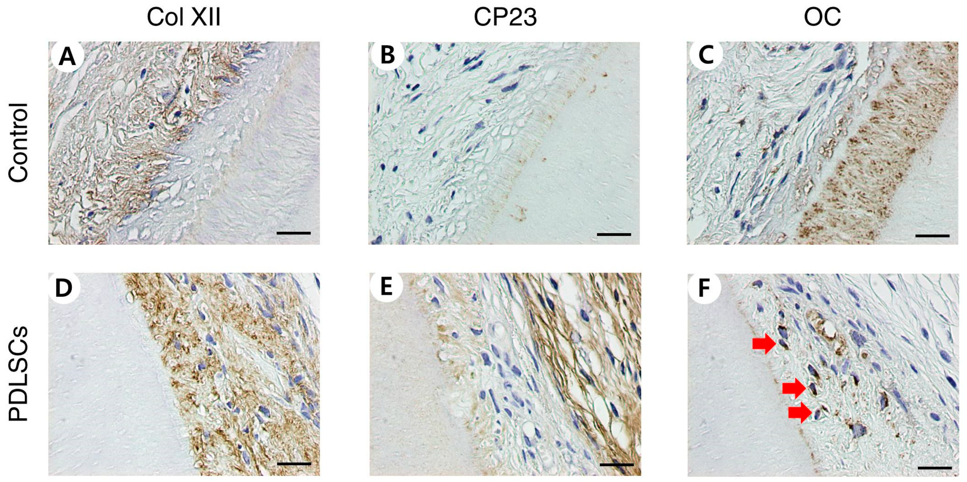 Applsci 11 08472 g002 Applsci 11 08472 g002